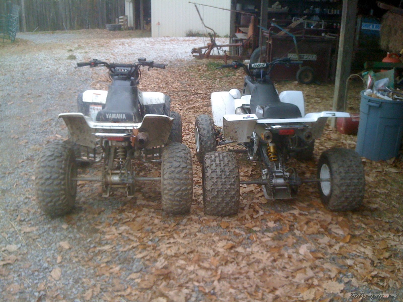 Photo 2110933