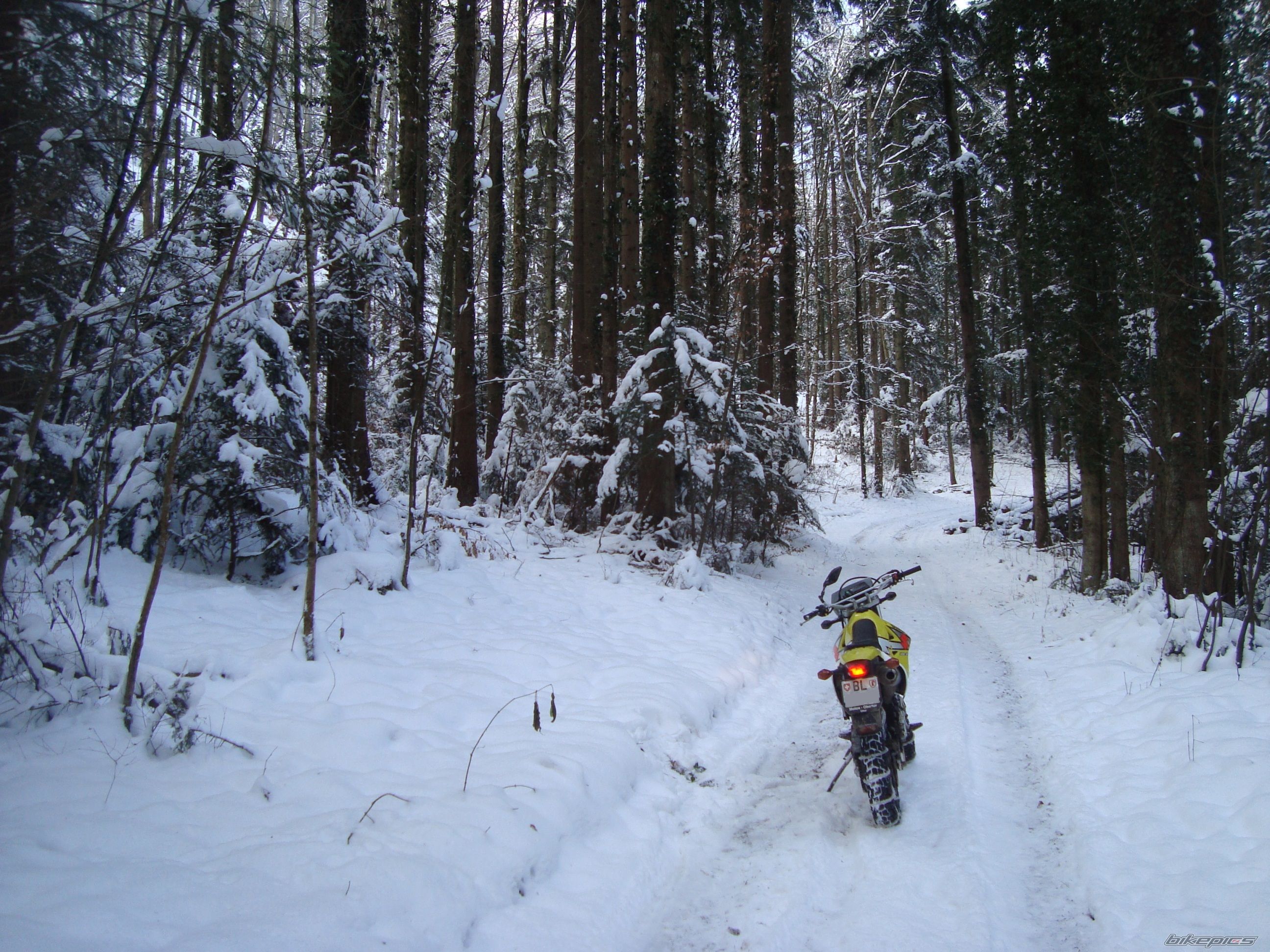 Photo 2110969