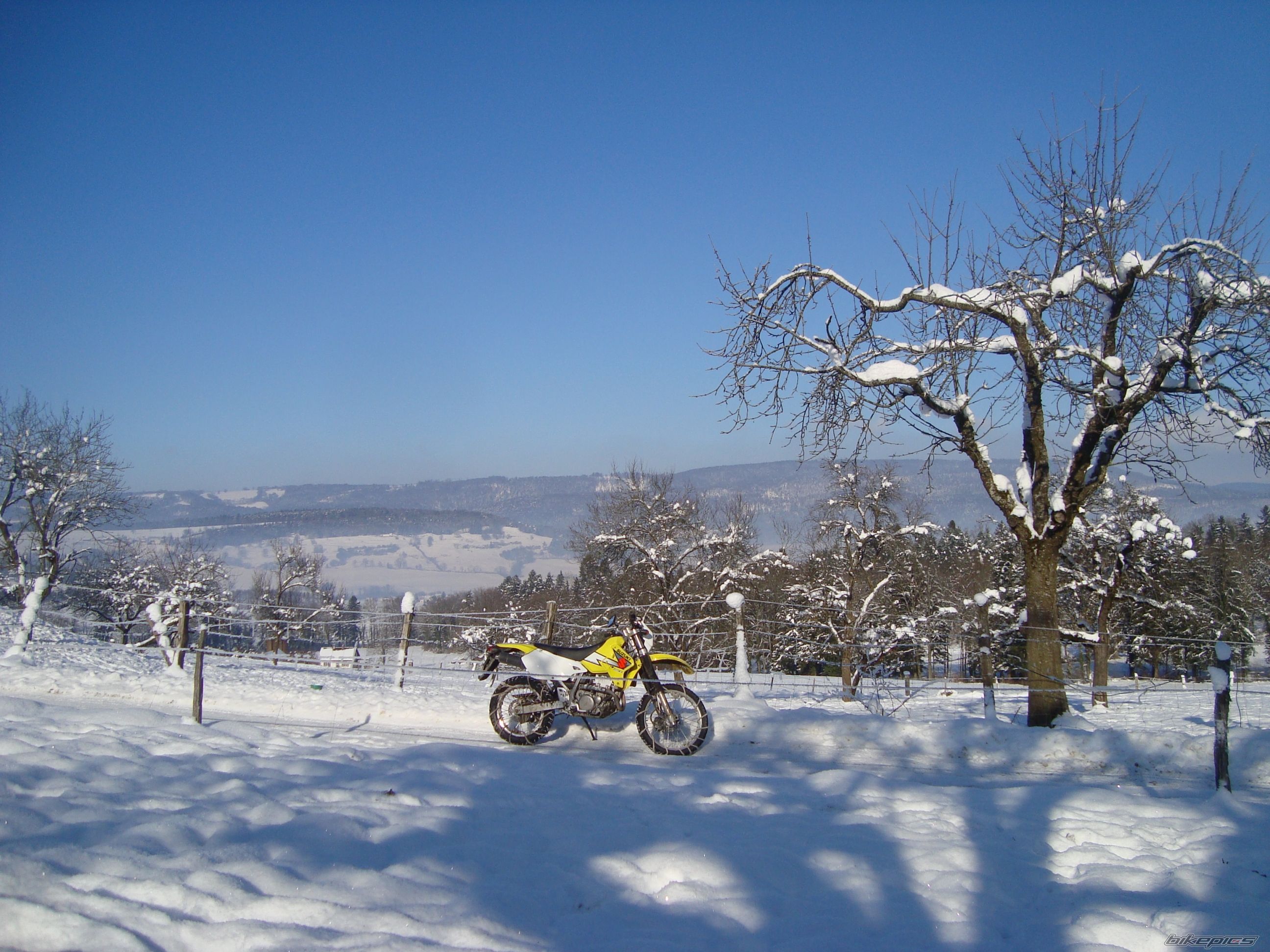 Photo 2110970