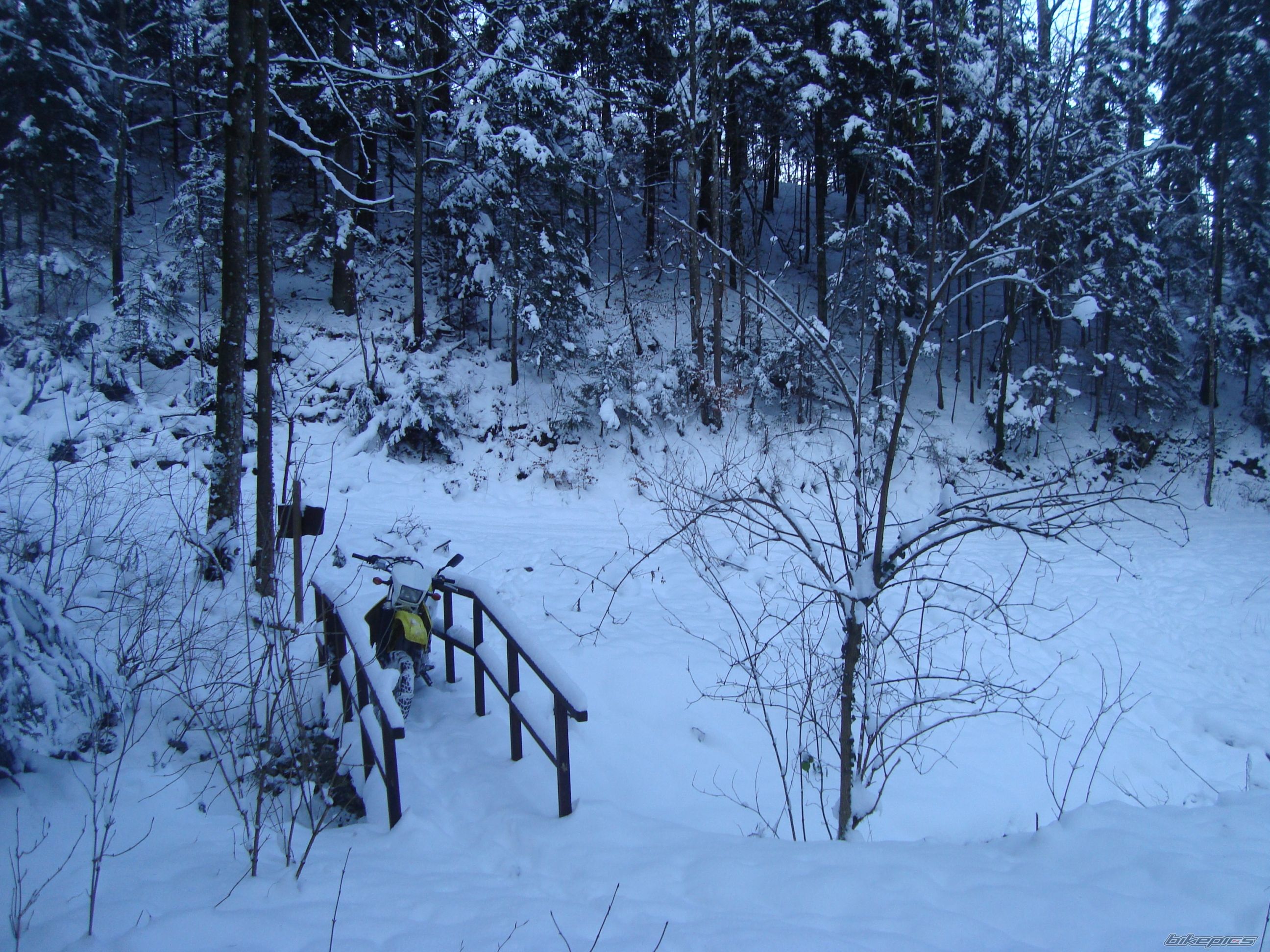 Photo 2110973
