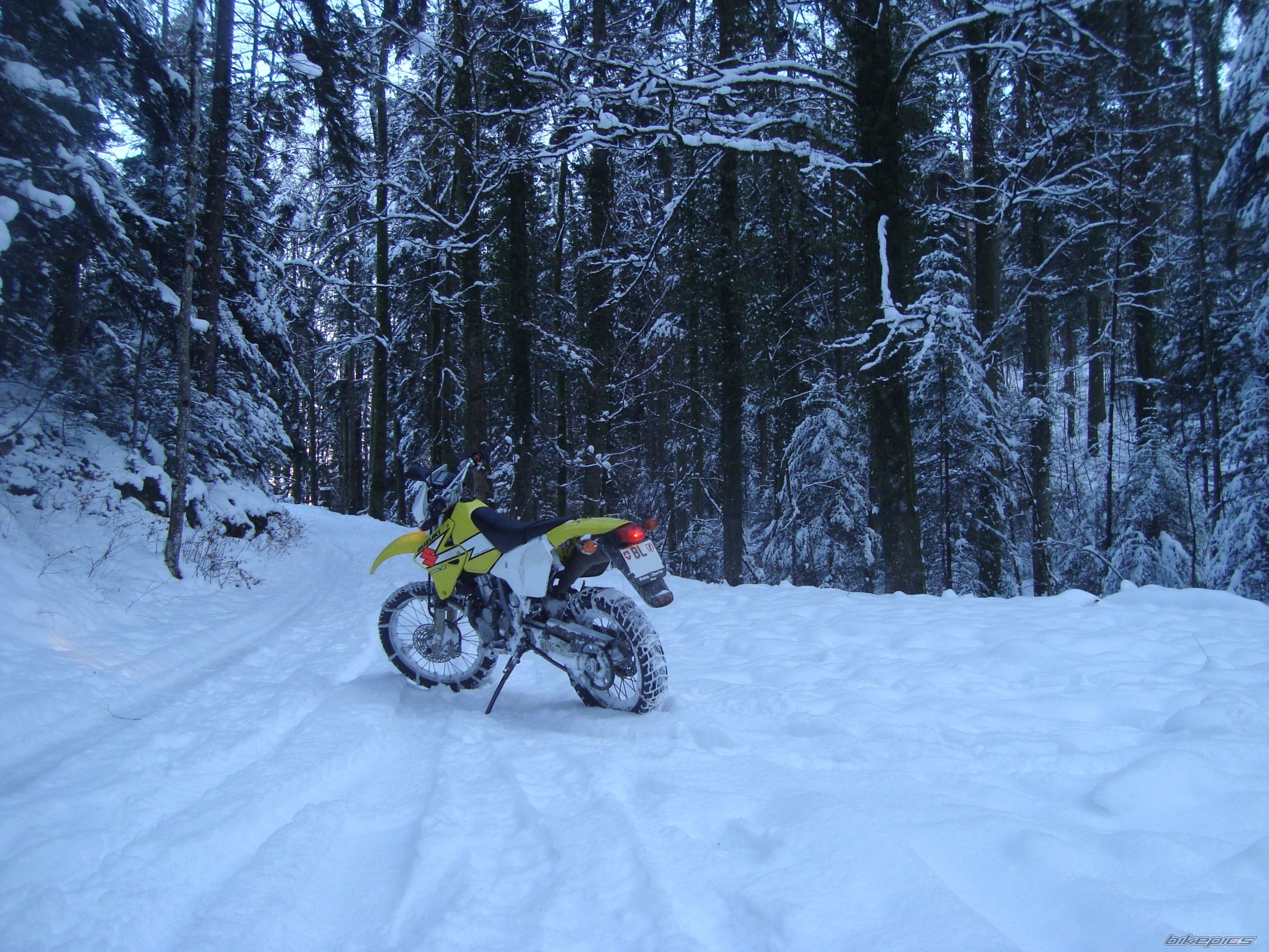 Photo 2110974