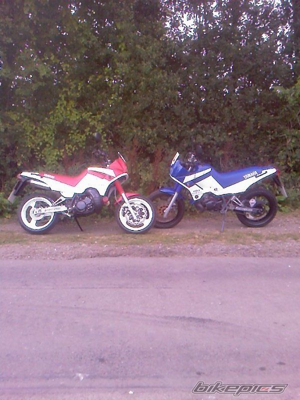 Photo 2111395