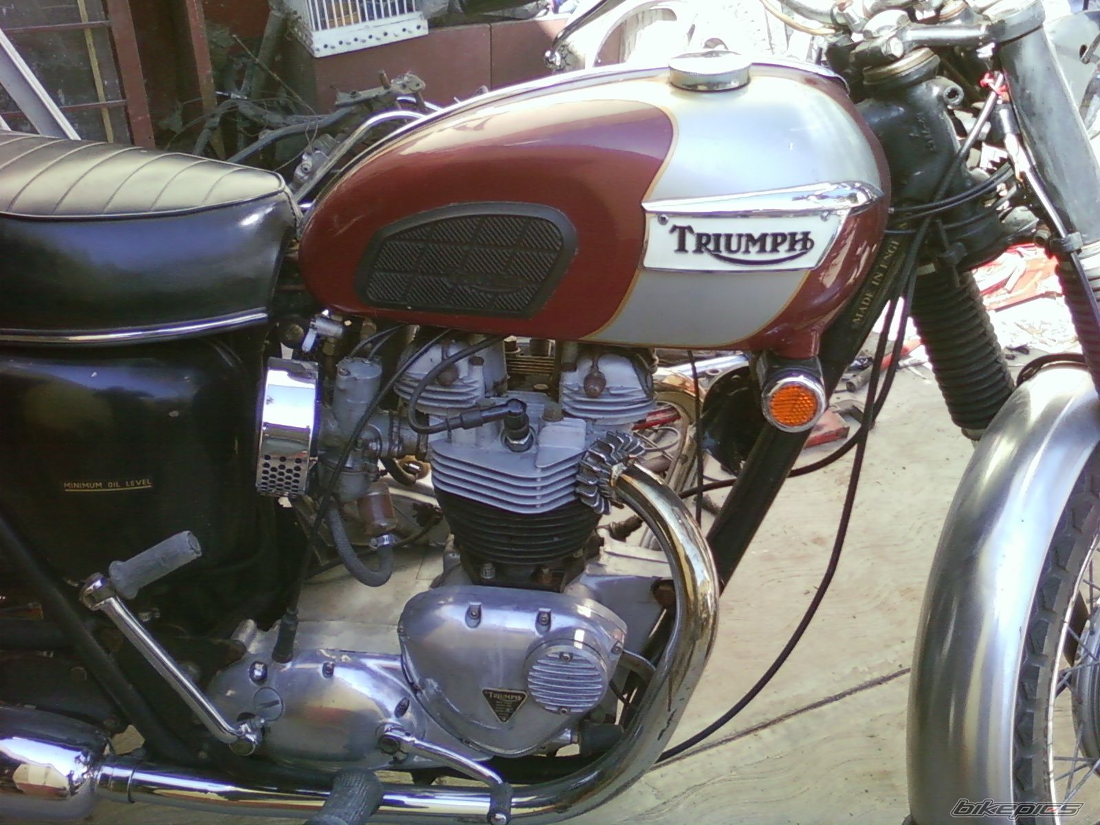 Photo 2111405