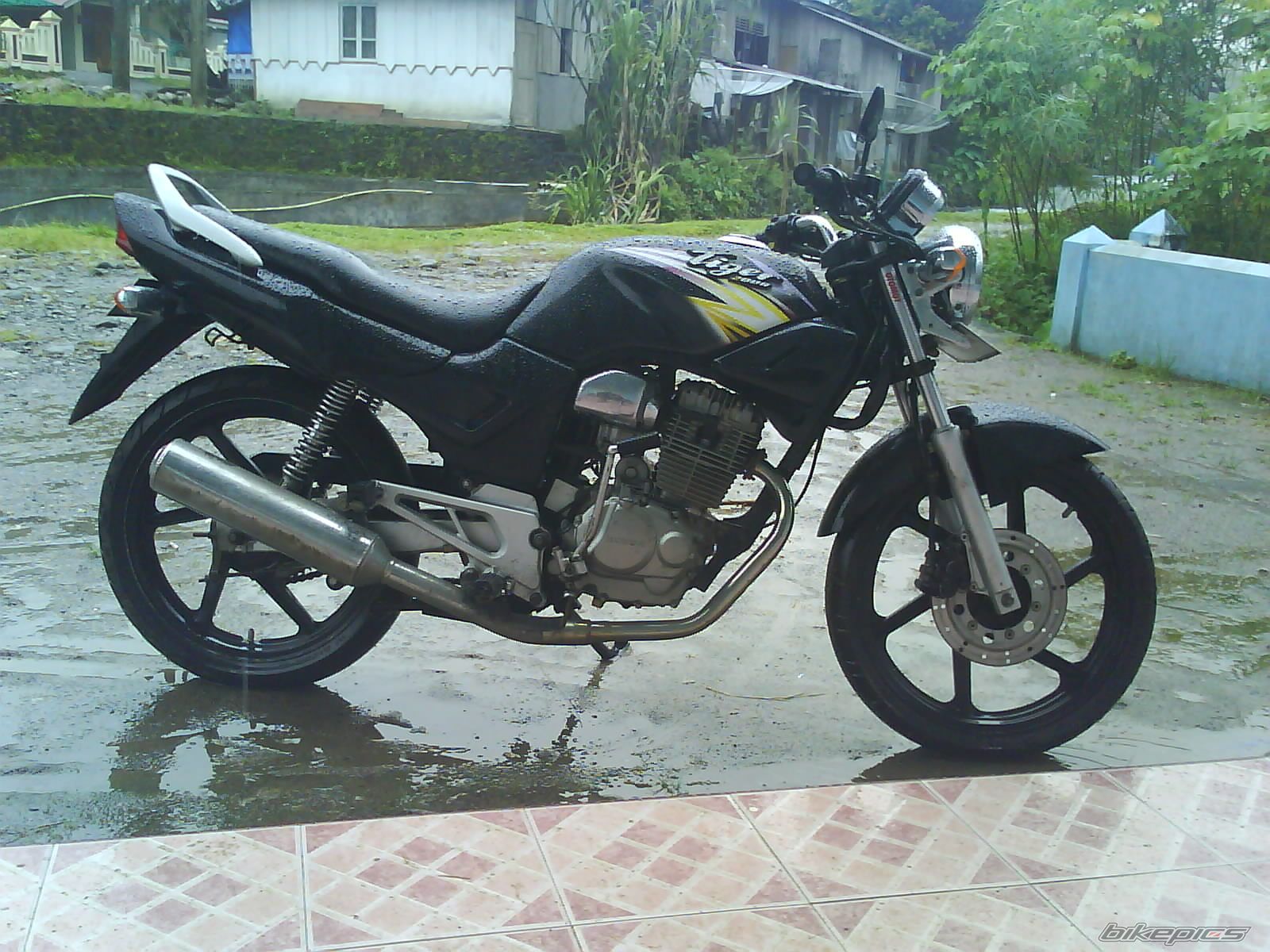 Photo 2111595