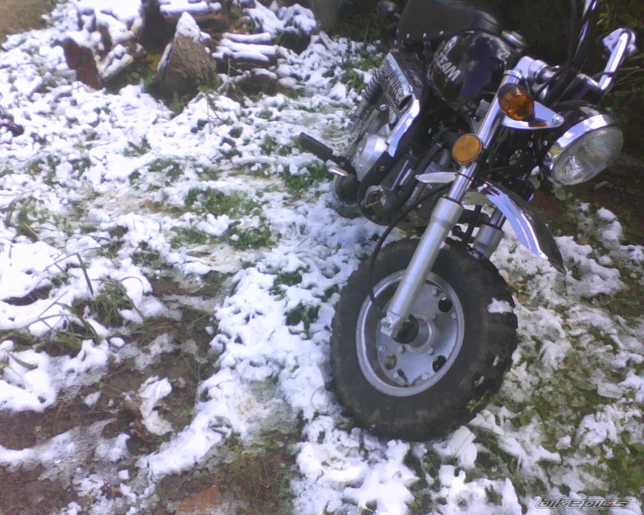 Photo 2111665