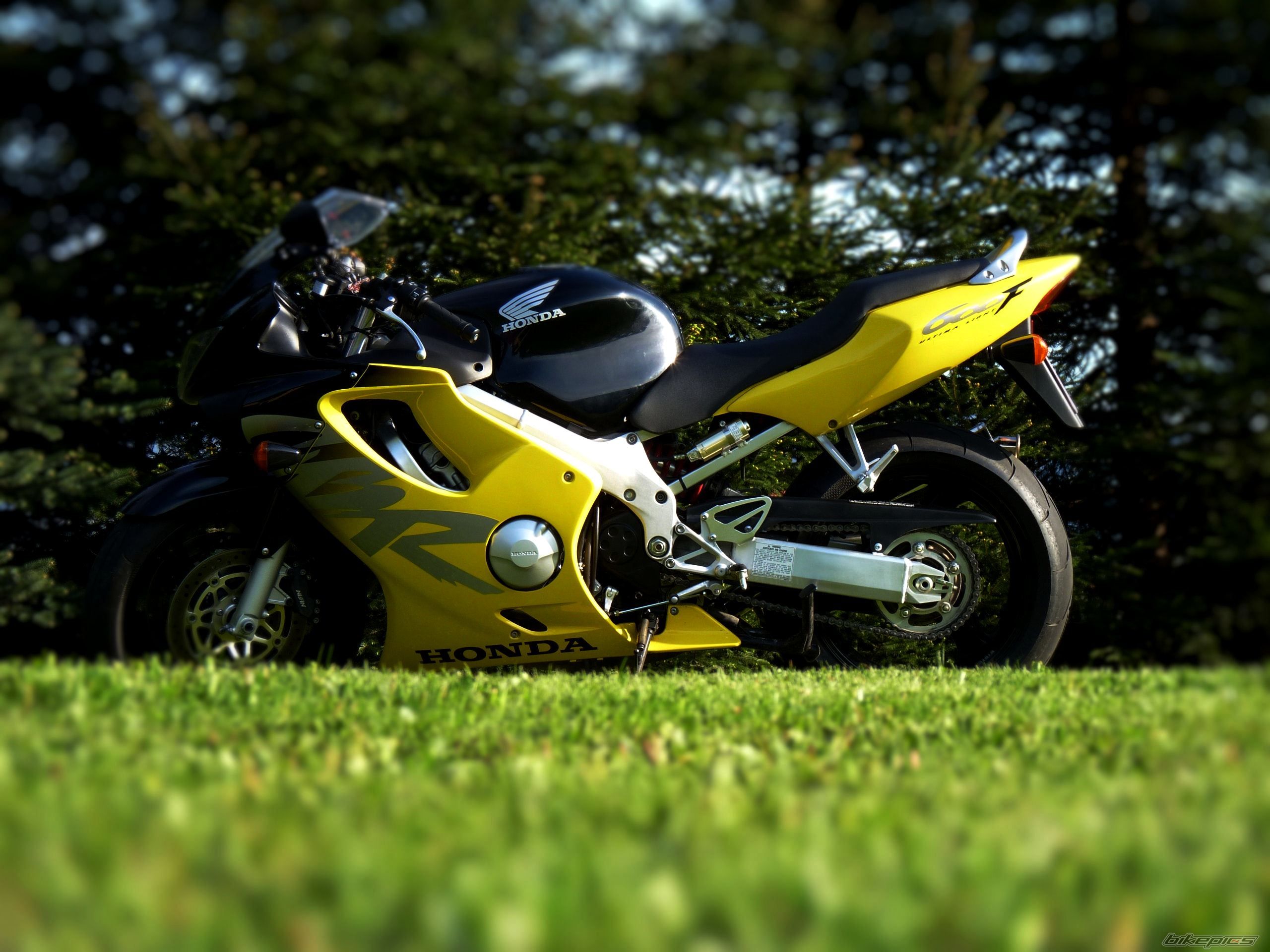 Photo 2111762