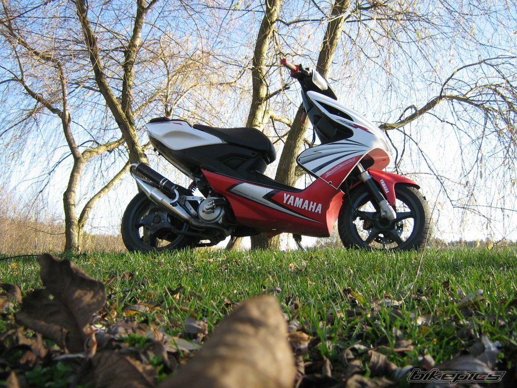 Photo 2111775