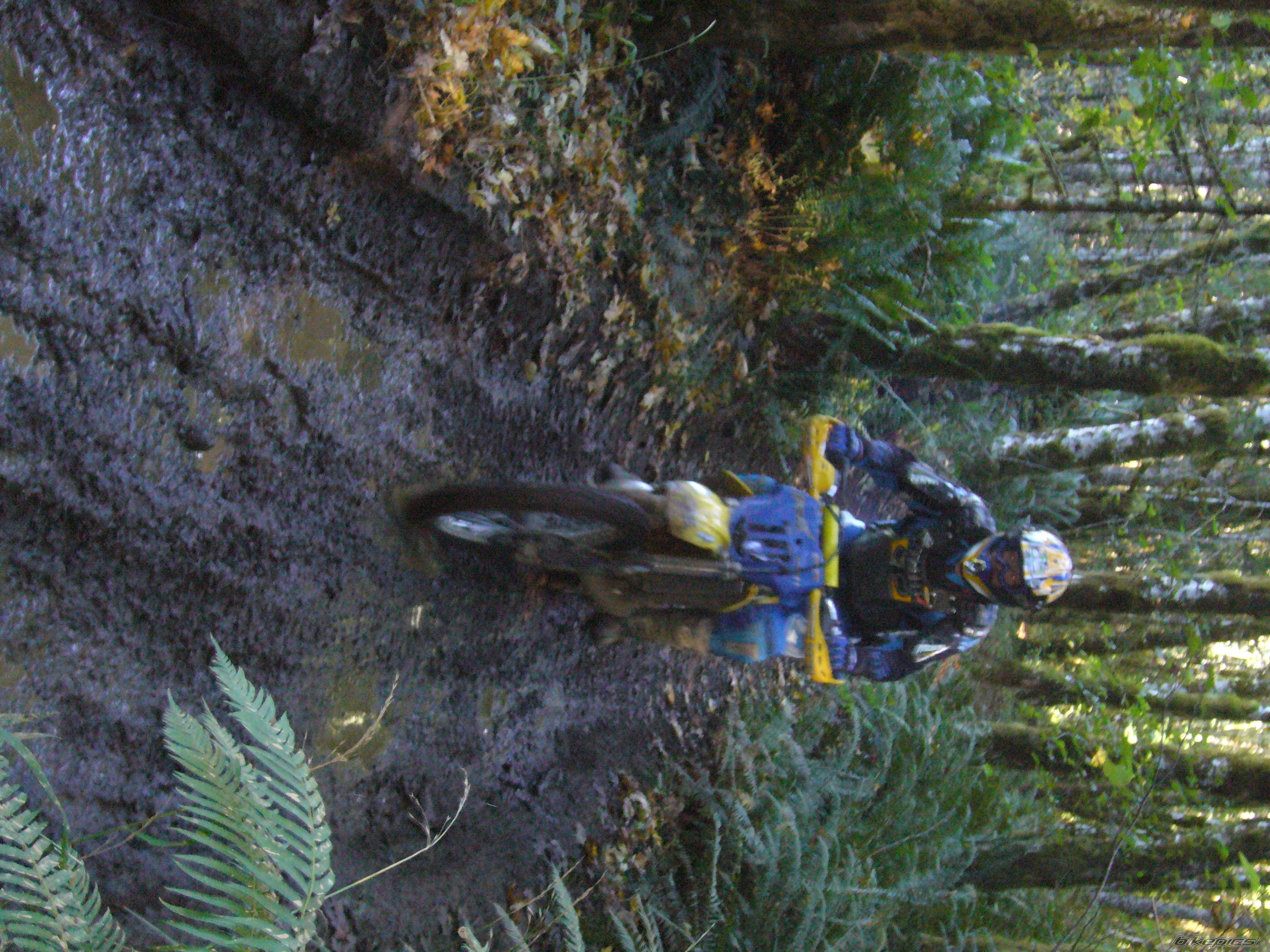 Photo 2112156