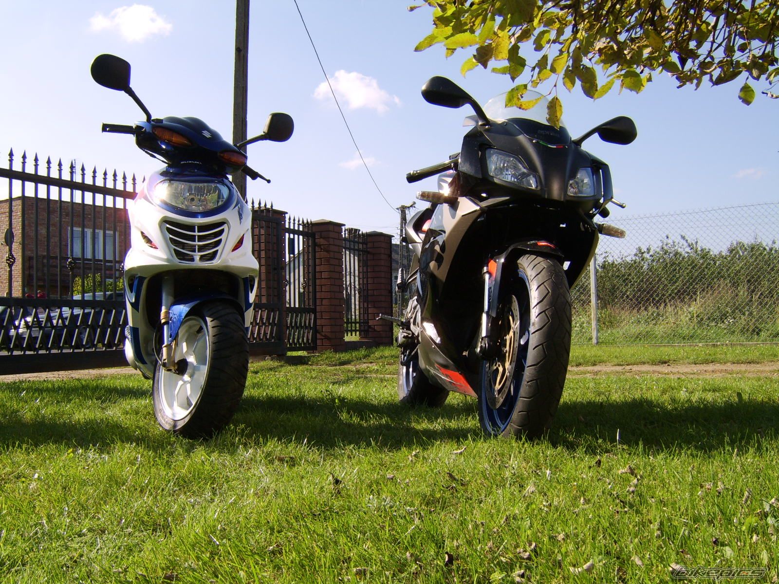 Photo 2112395