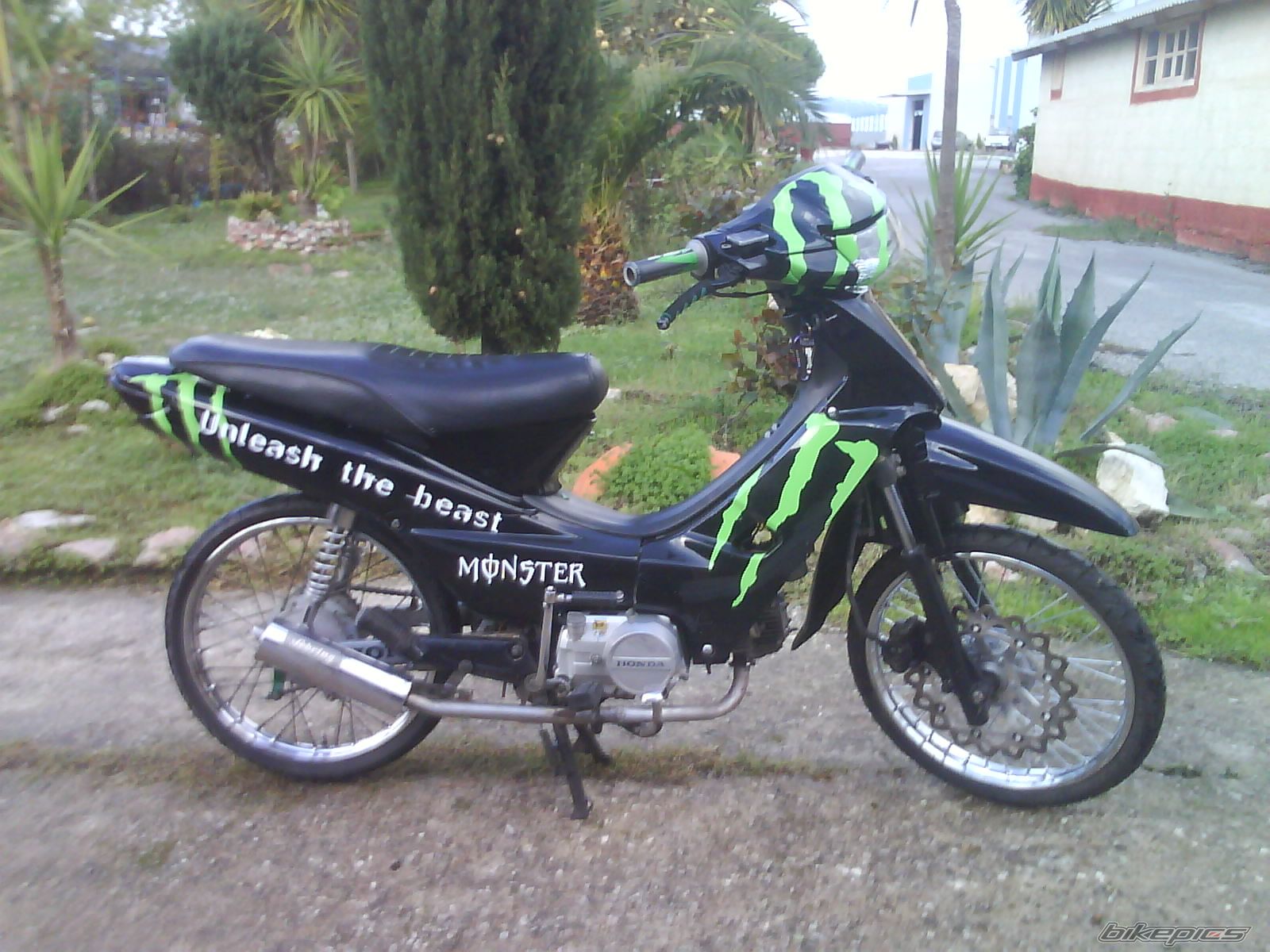 Photo 2112405
