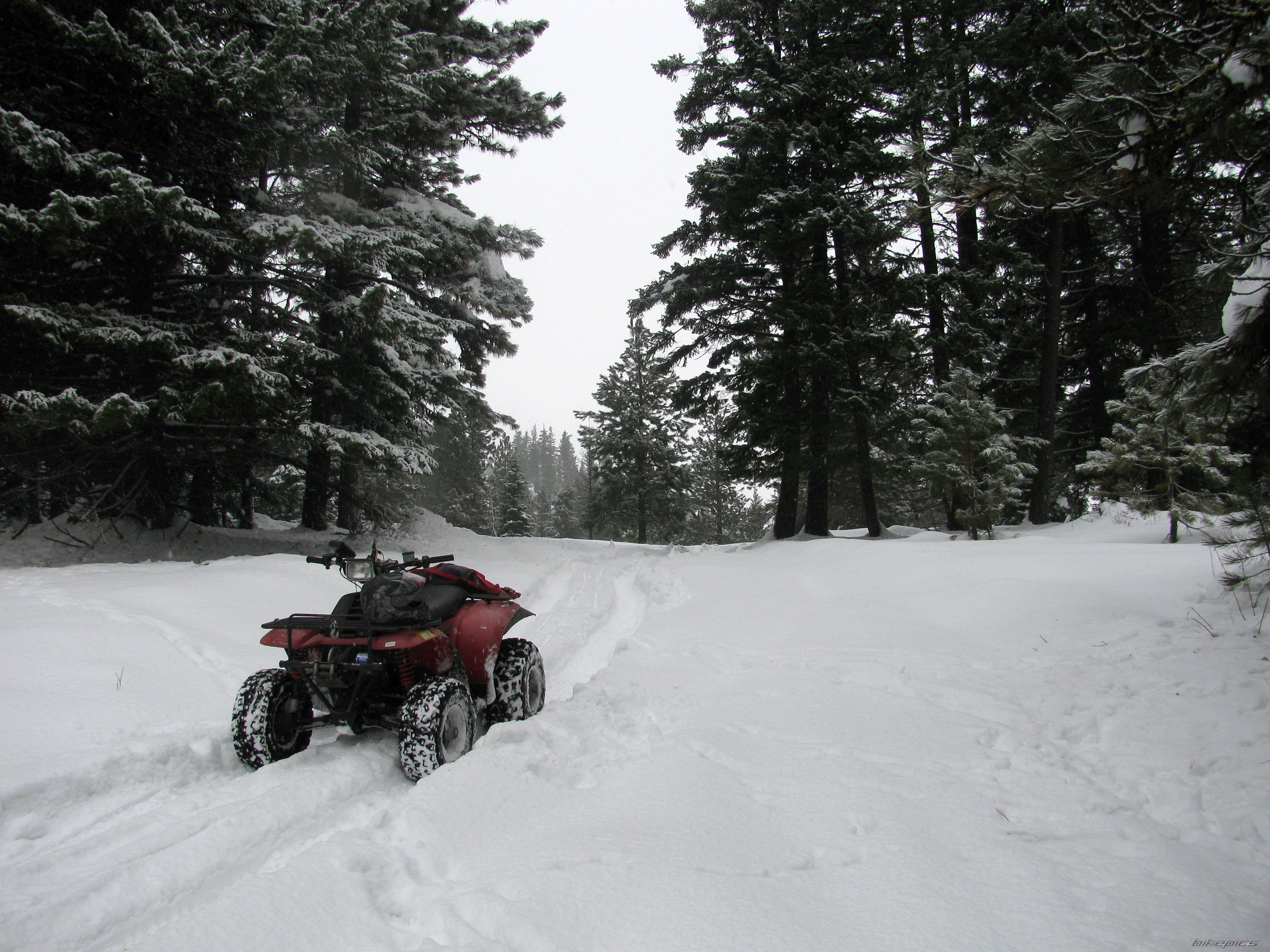 Photo 2112618