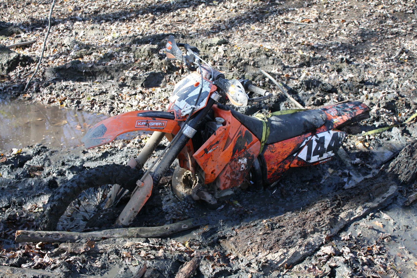 Photo 2112748