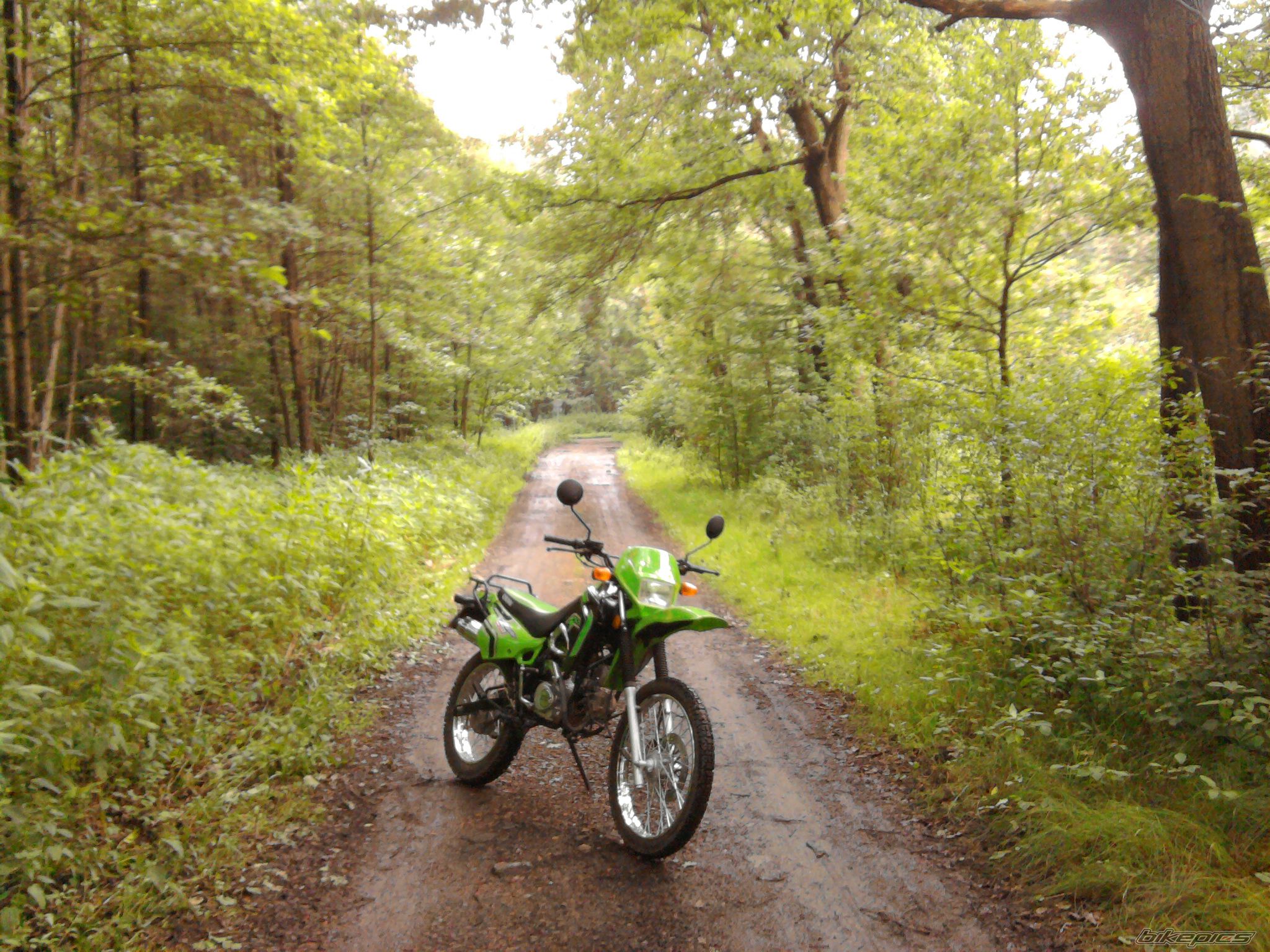 Photo 2112887