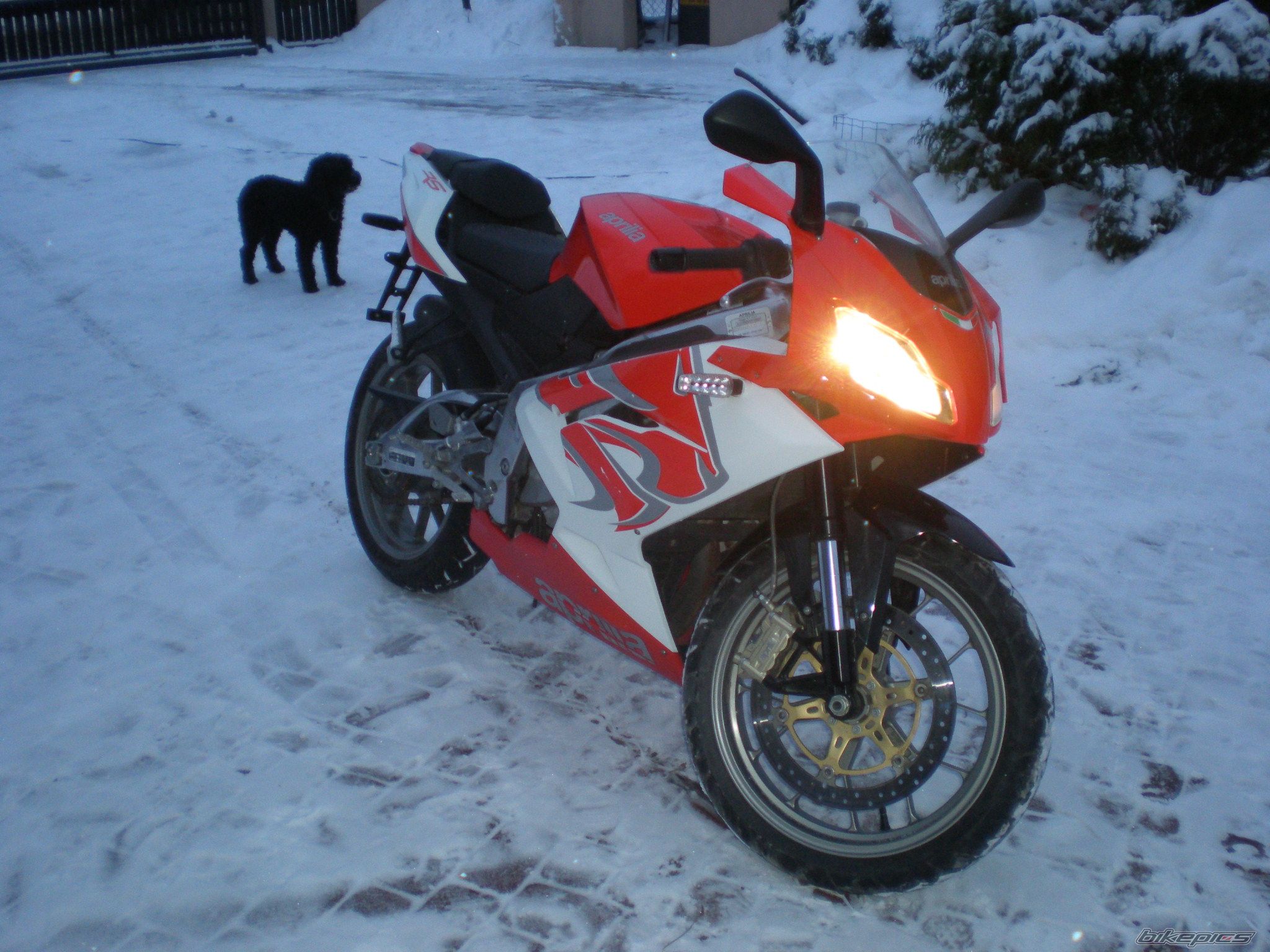 Photo 2112934