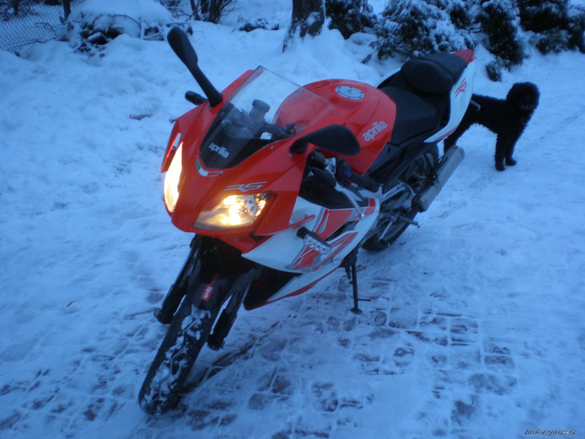 Photo 2112938