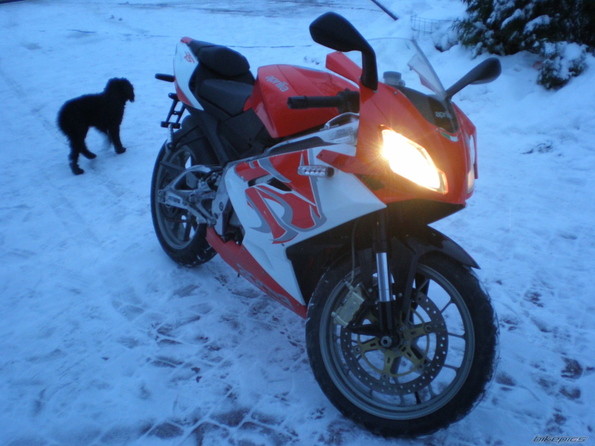 Photo 2112939