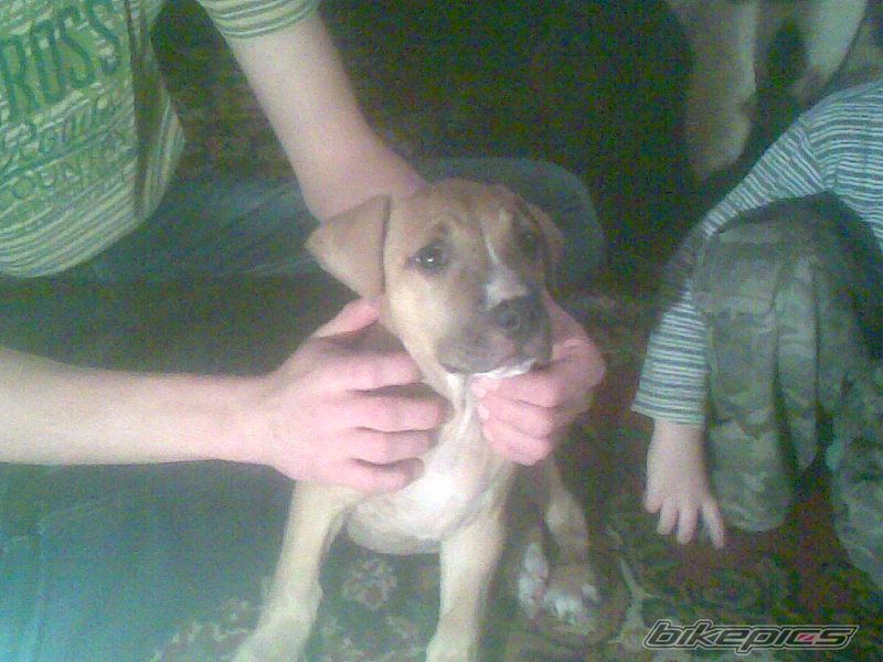 Photo 2112958