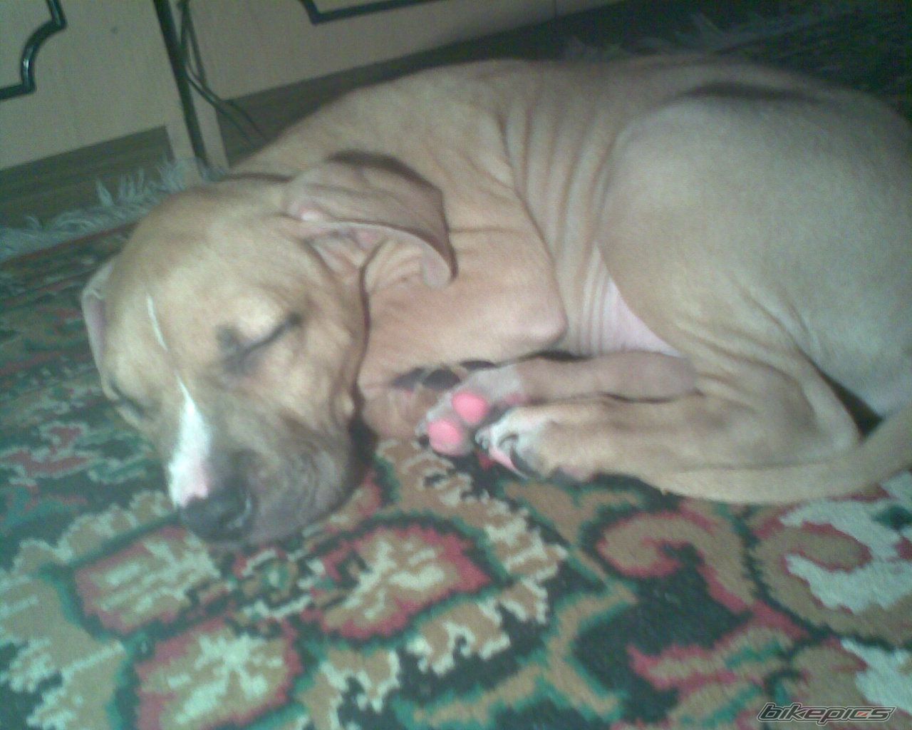 Photo 2112959