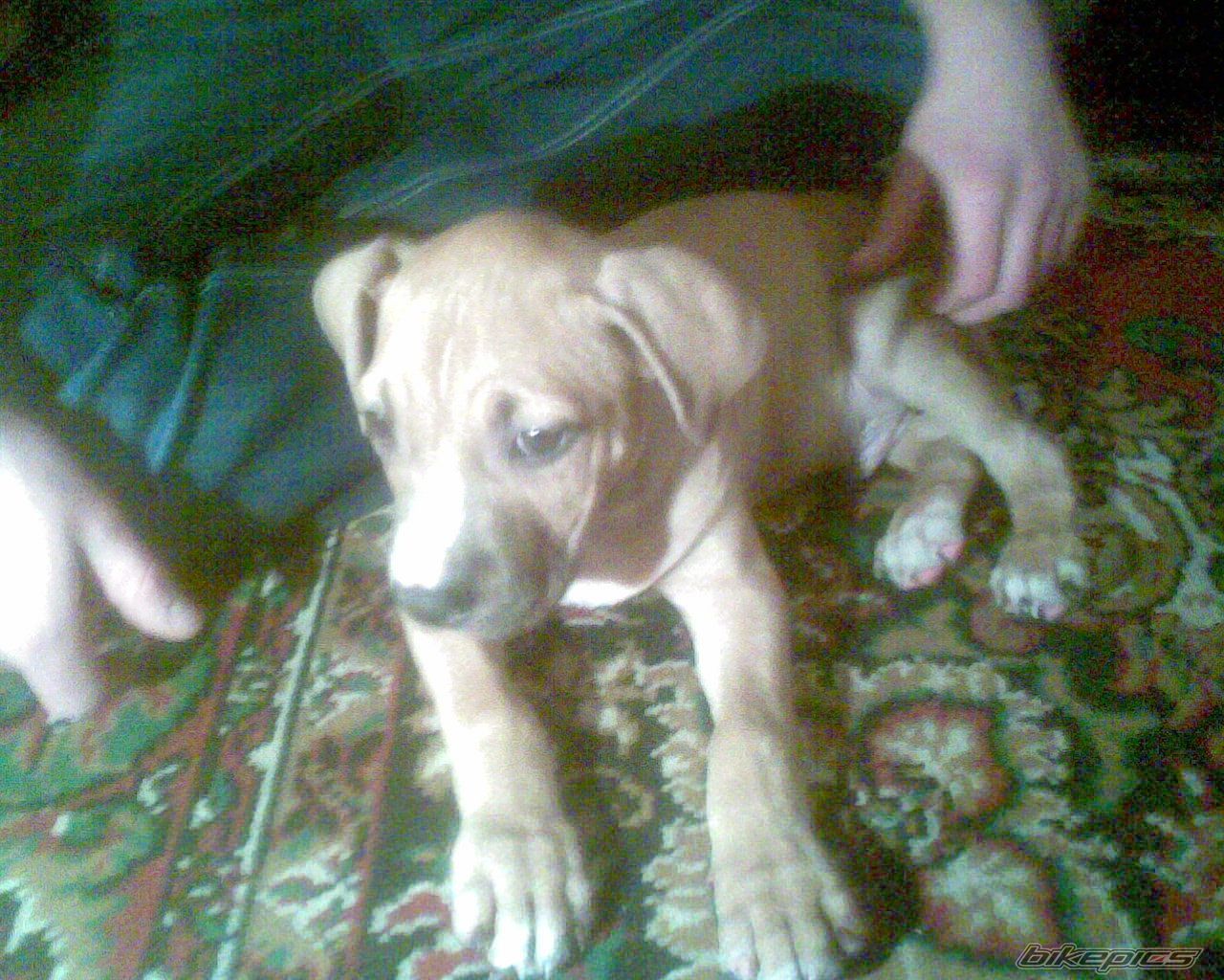 Photo 2112961