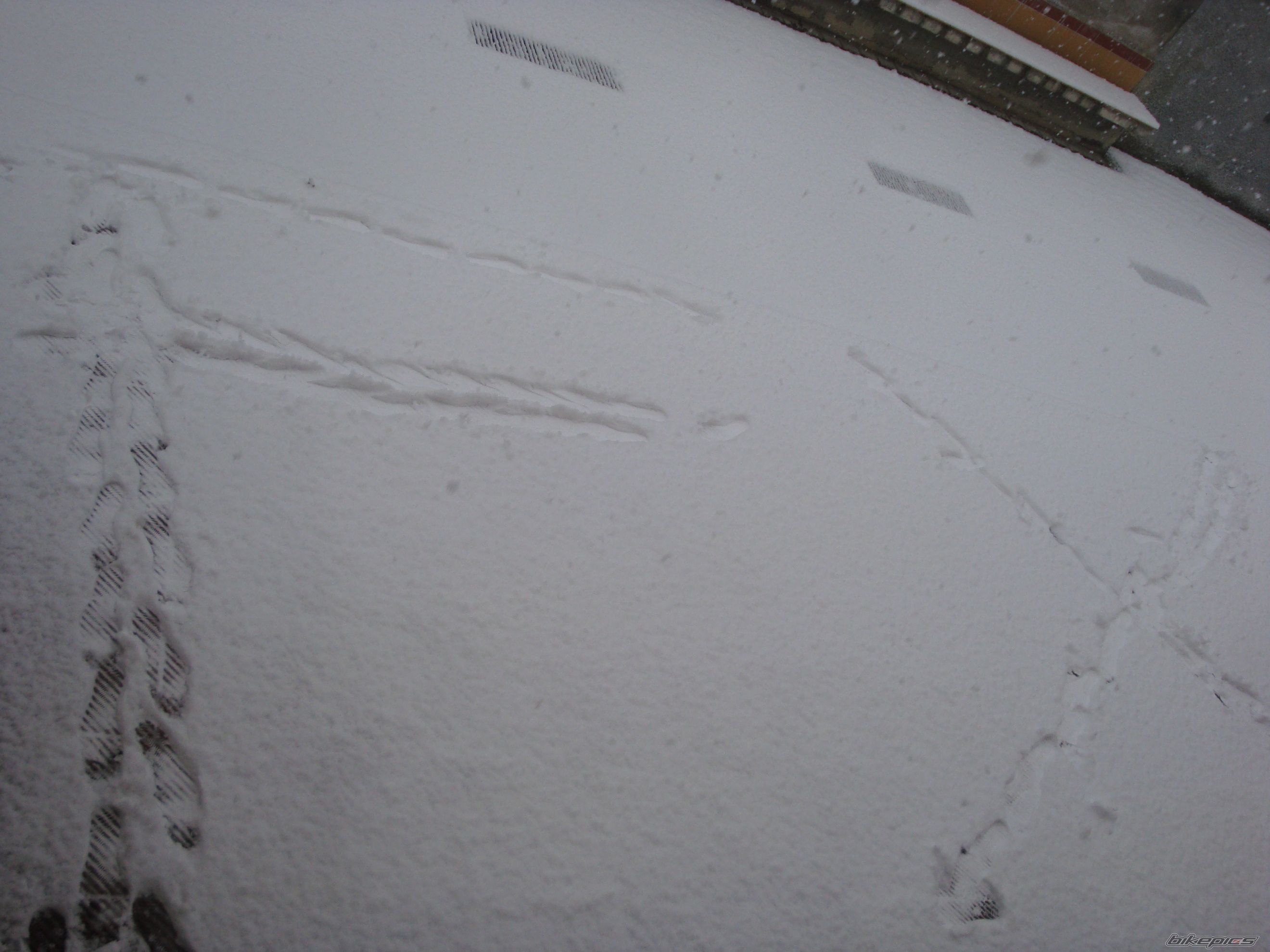 Photo 2113262