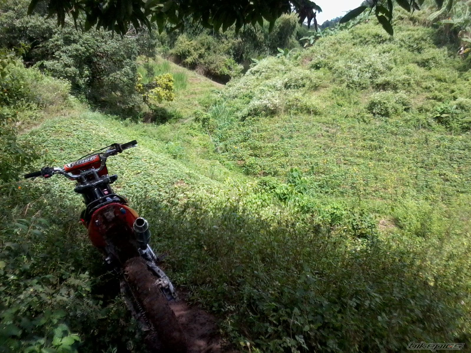 Photo 2113368