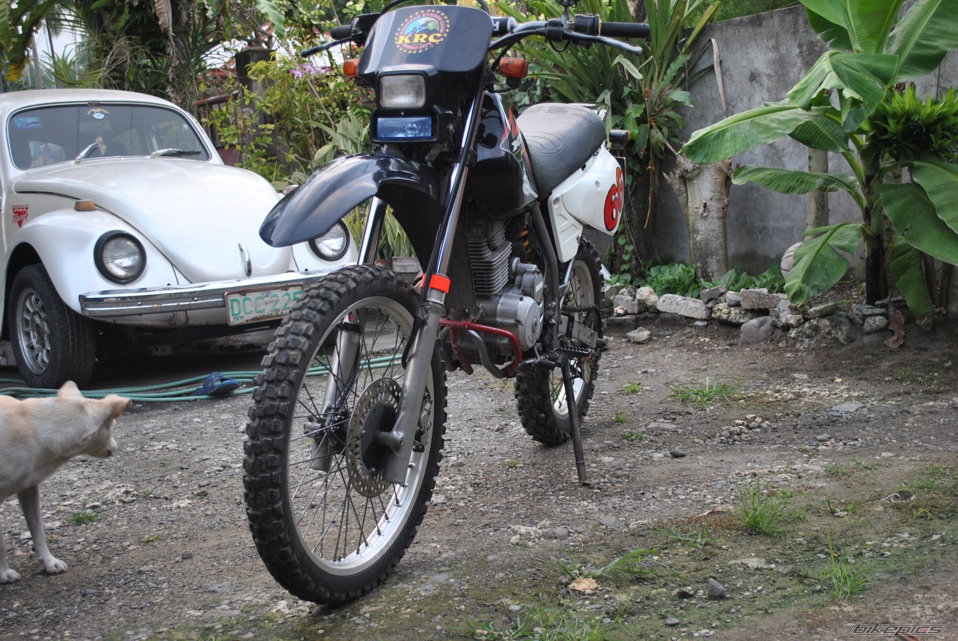 Photo 2113434