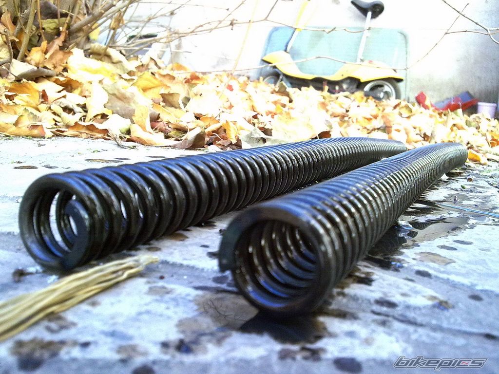 Photo 2113547