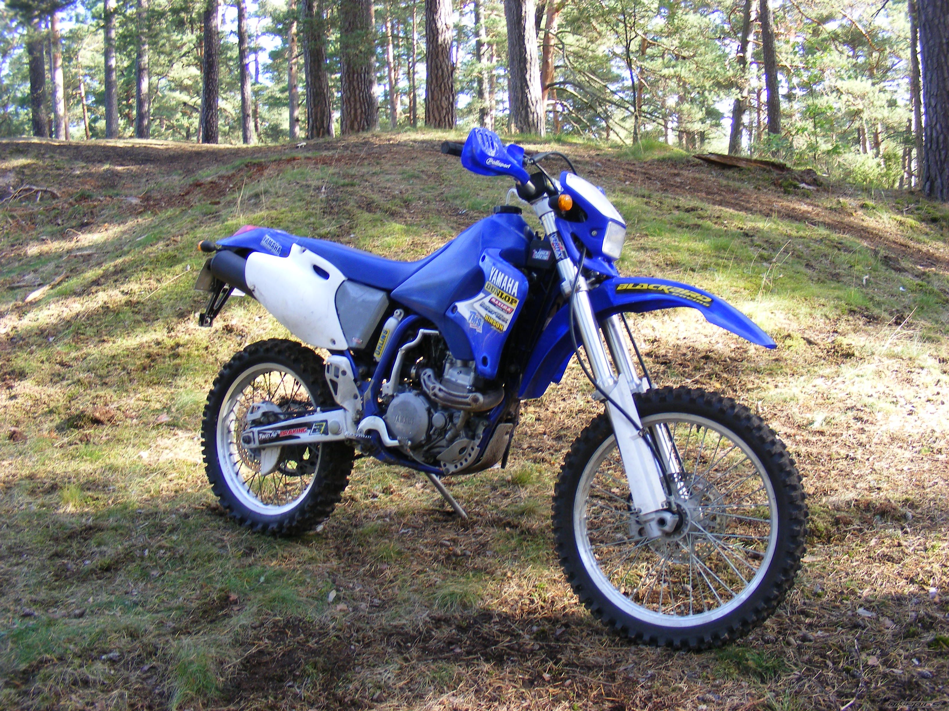 Photo 2113570
