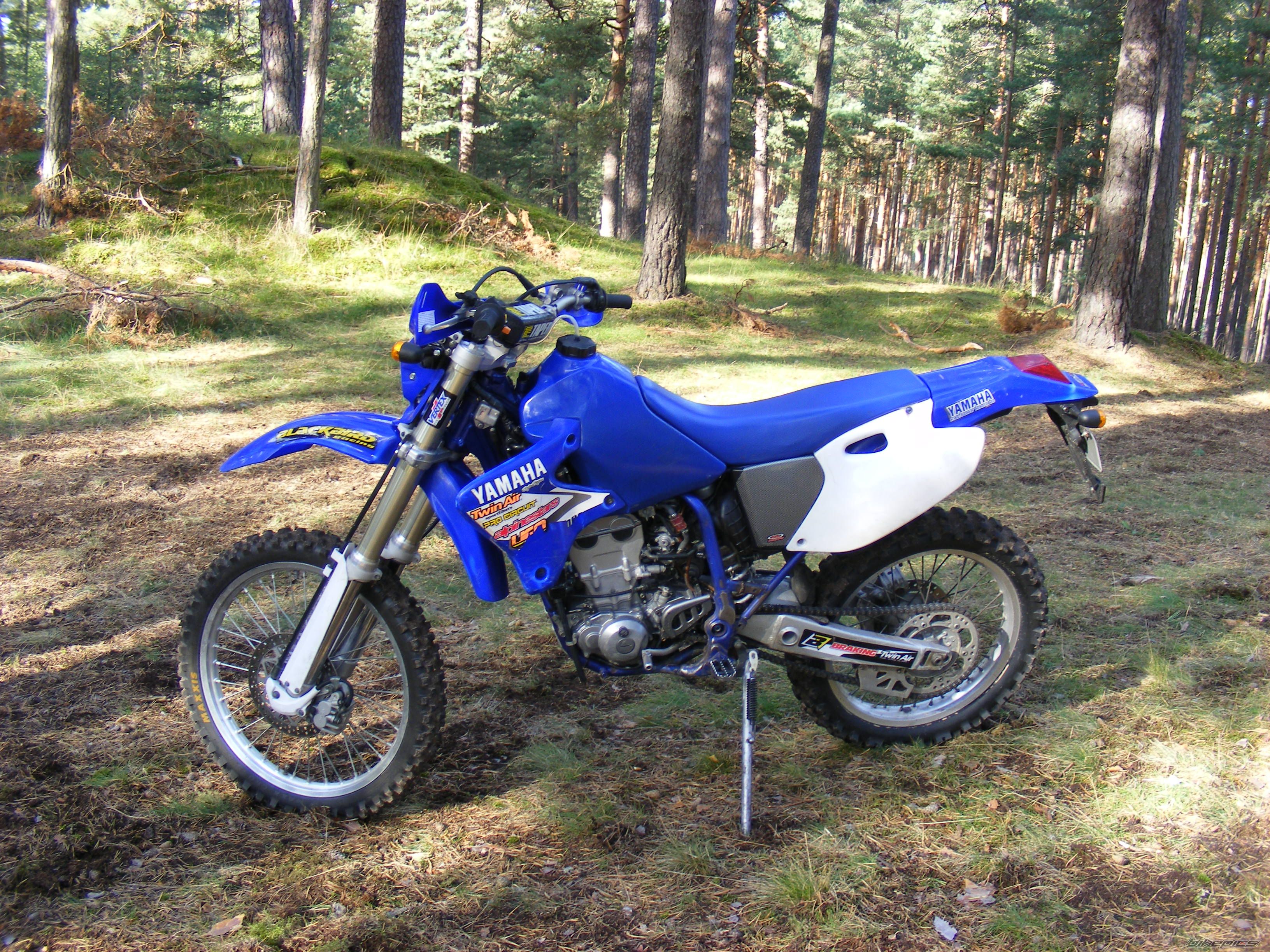 Photo 2113579