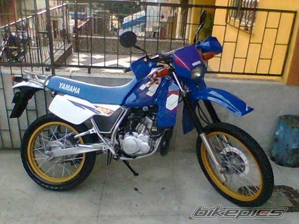 Photo 2113901