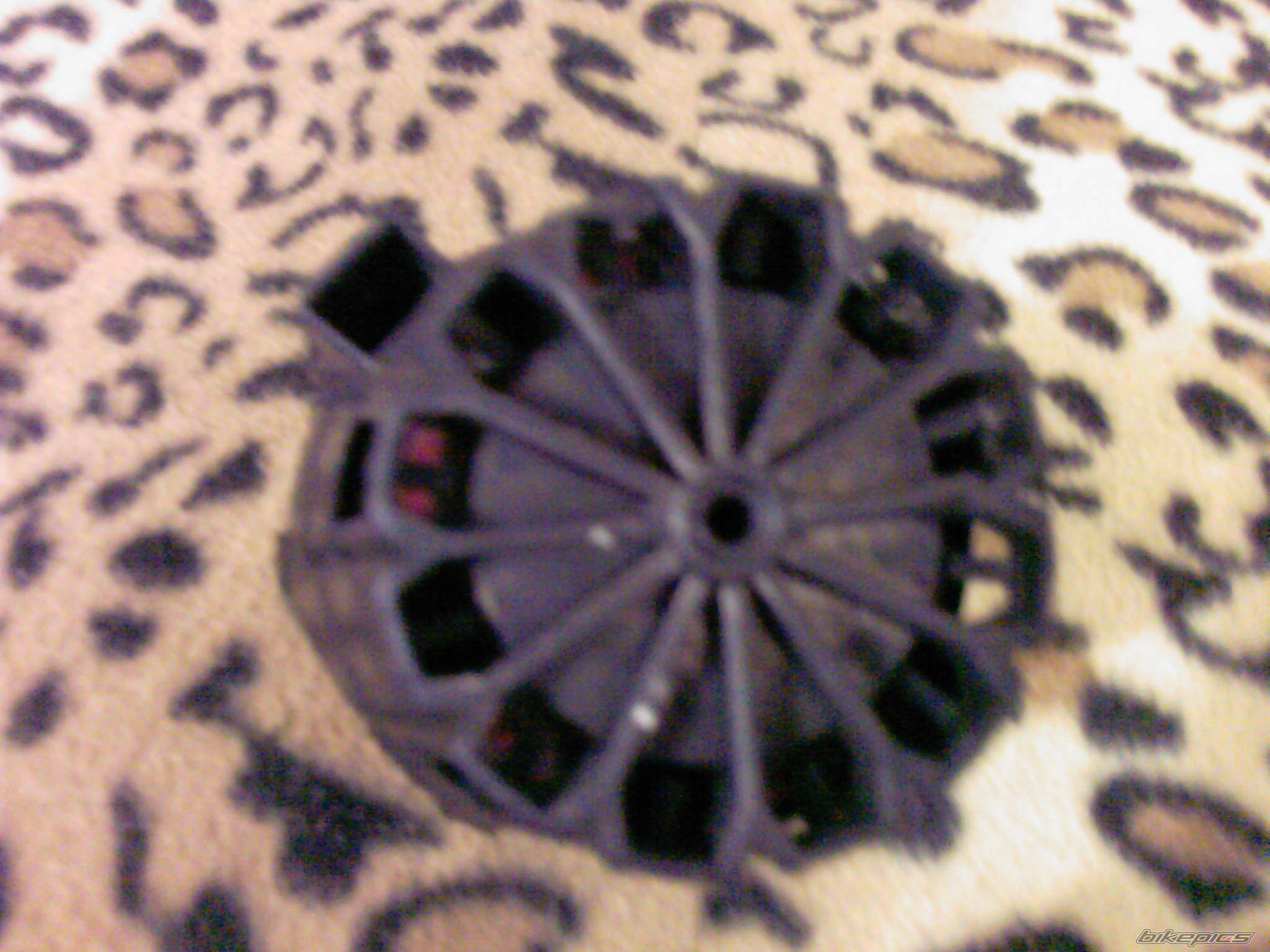Photo 2113987