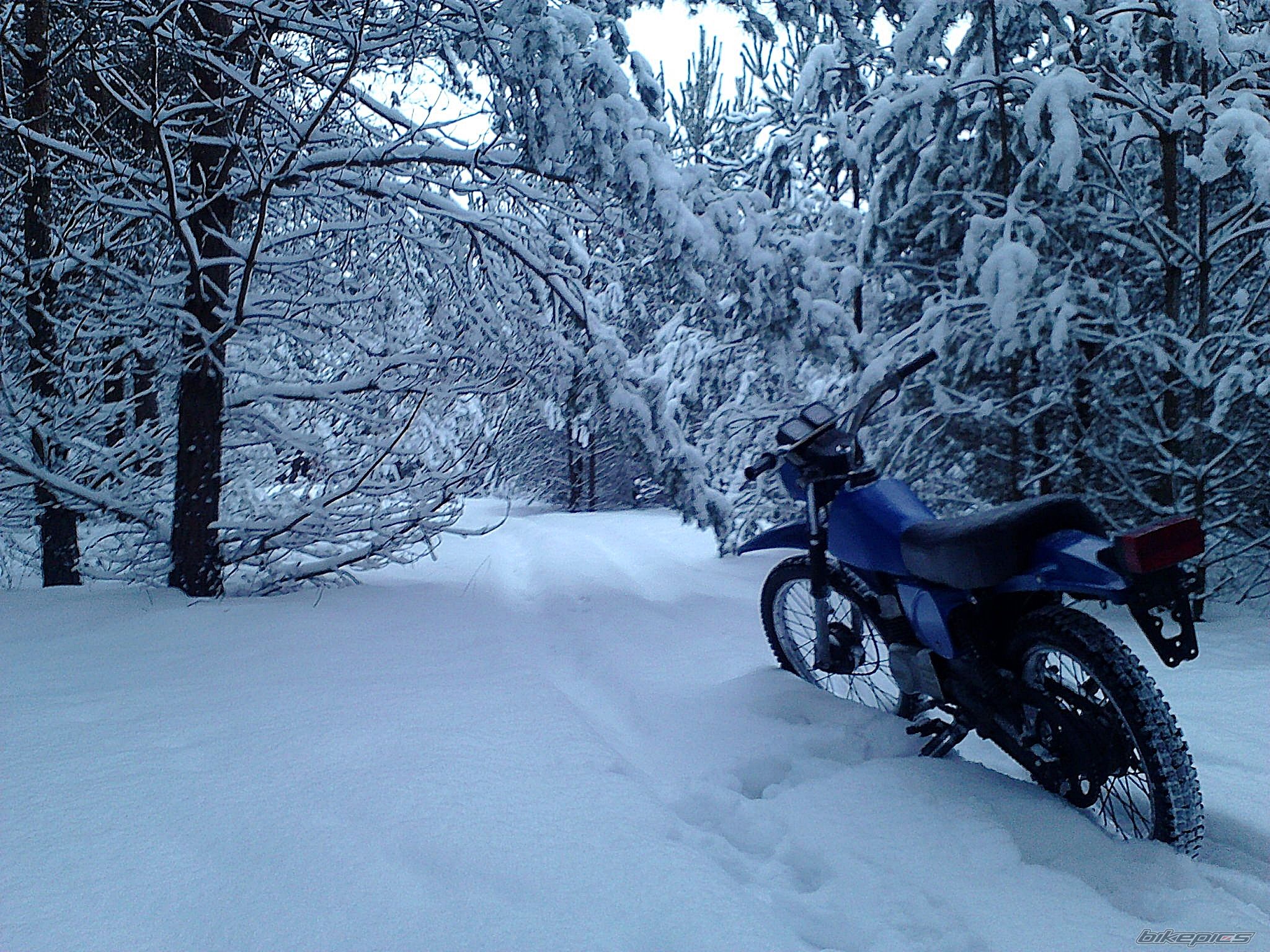 Photo 2114190