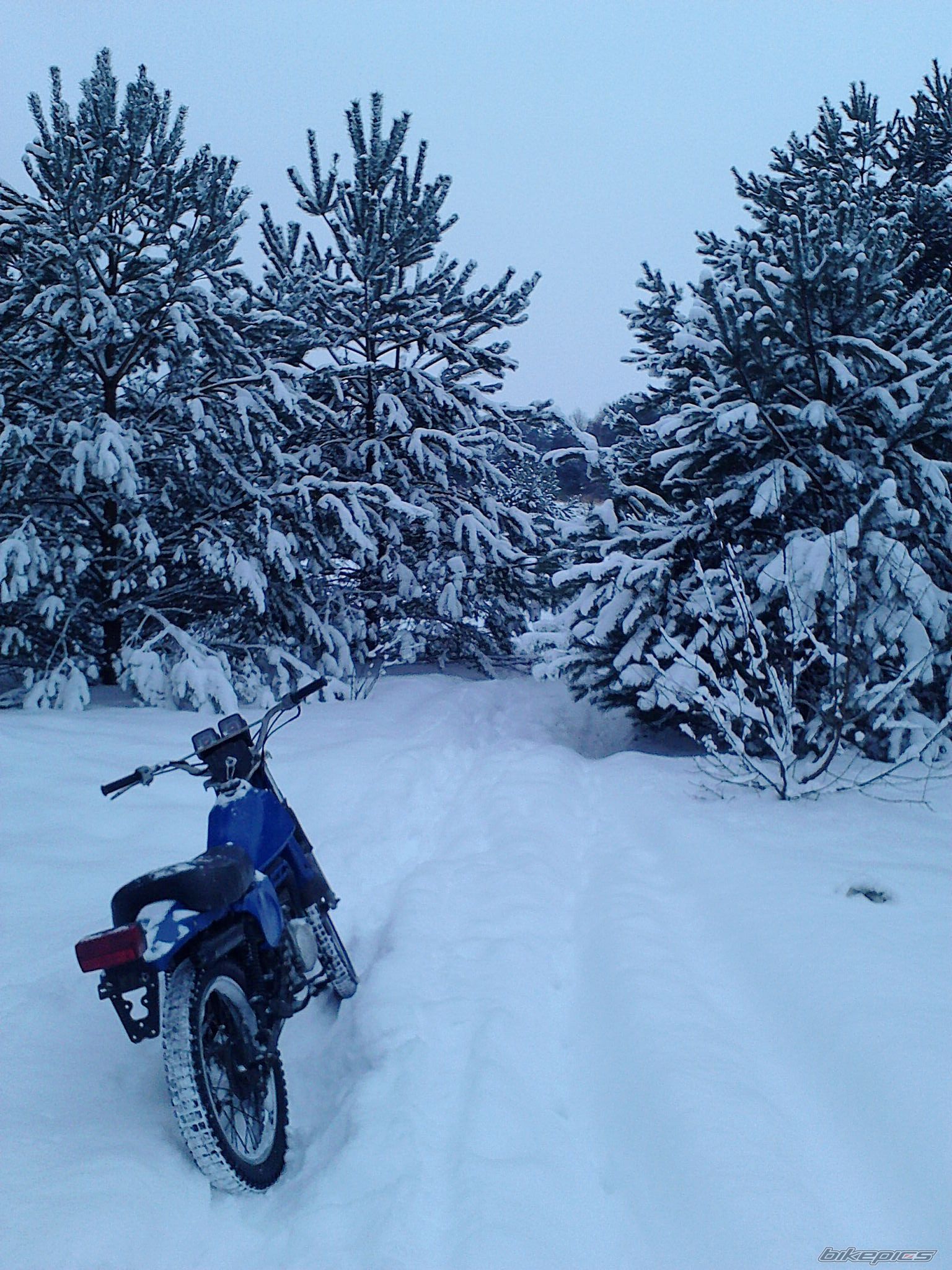 Photo 2114199
