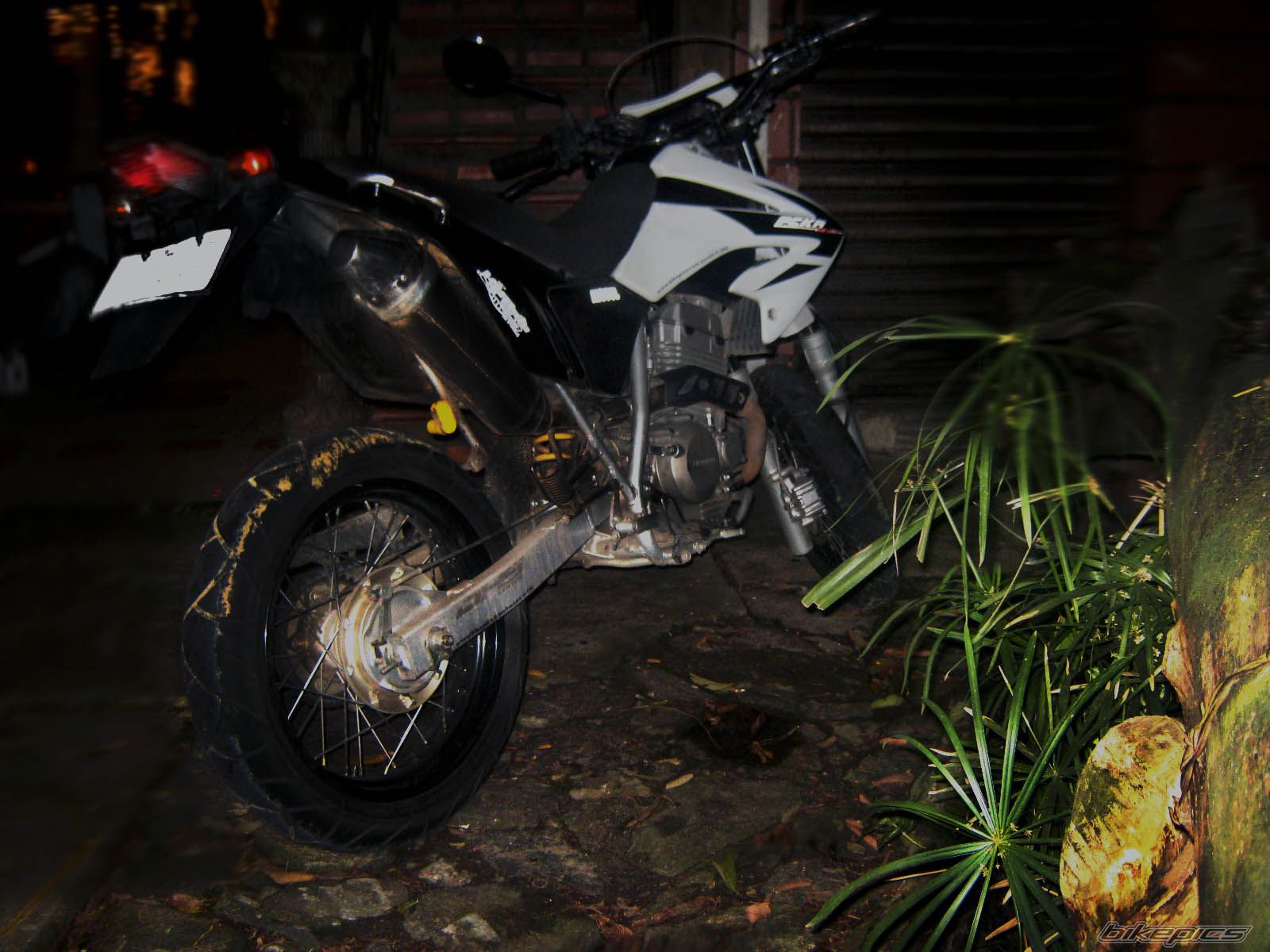 Photo 2114273