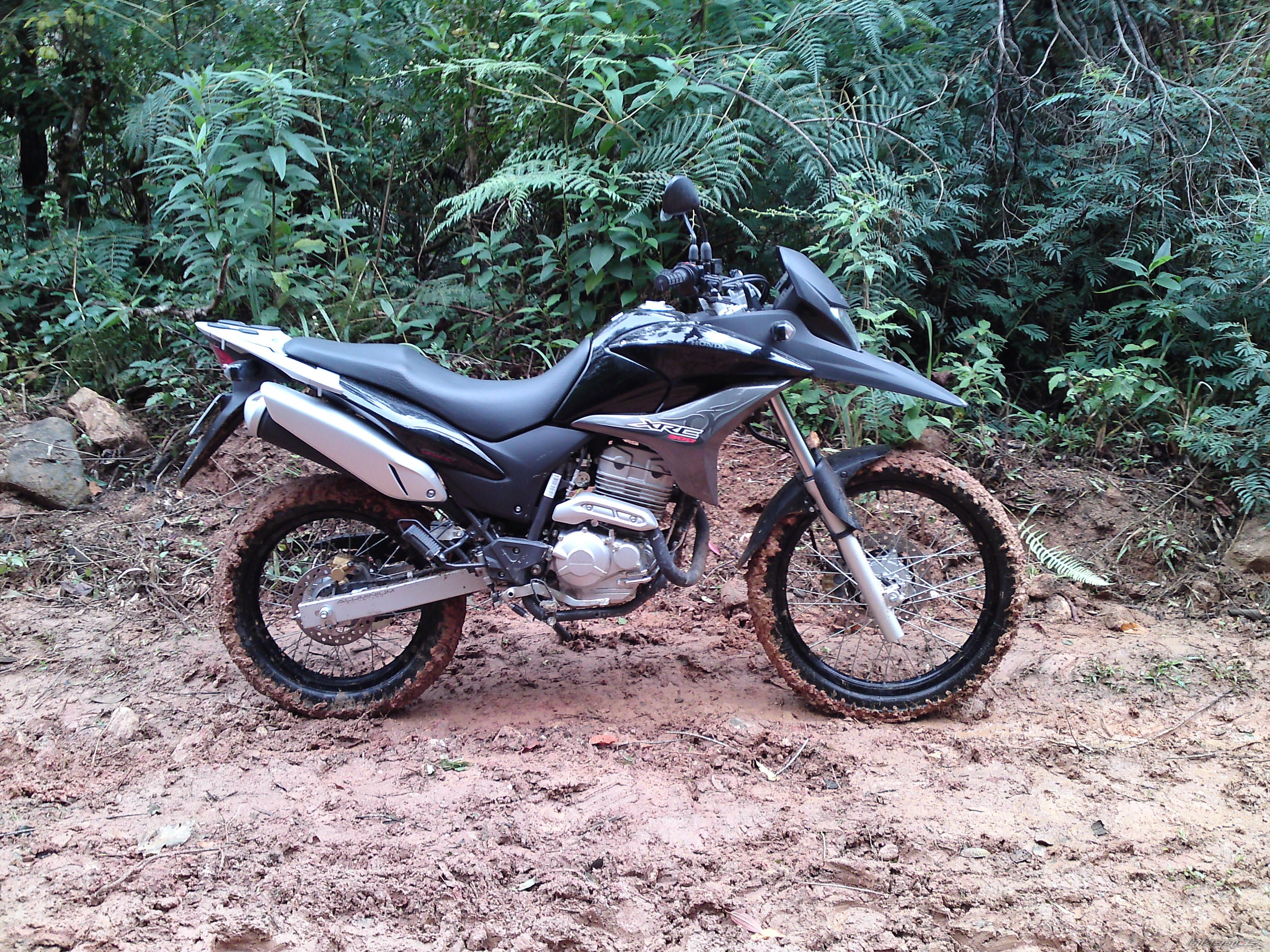 Photo 2114599