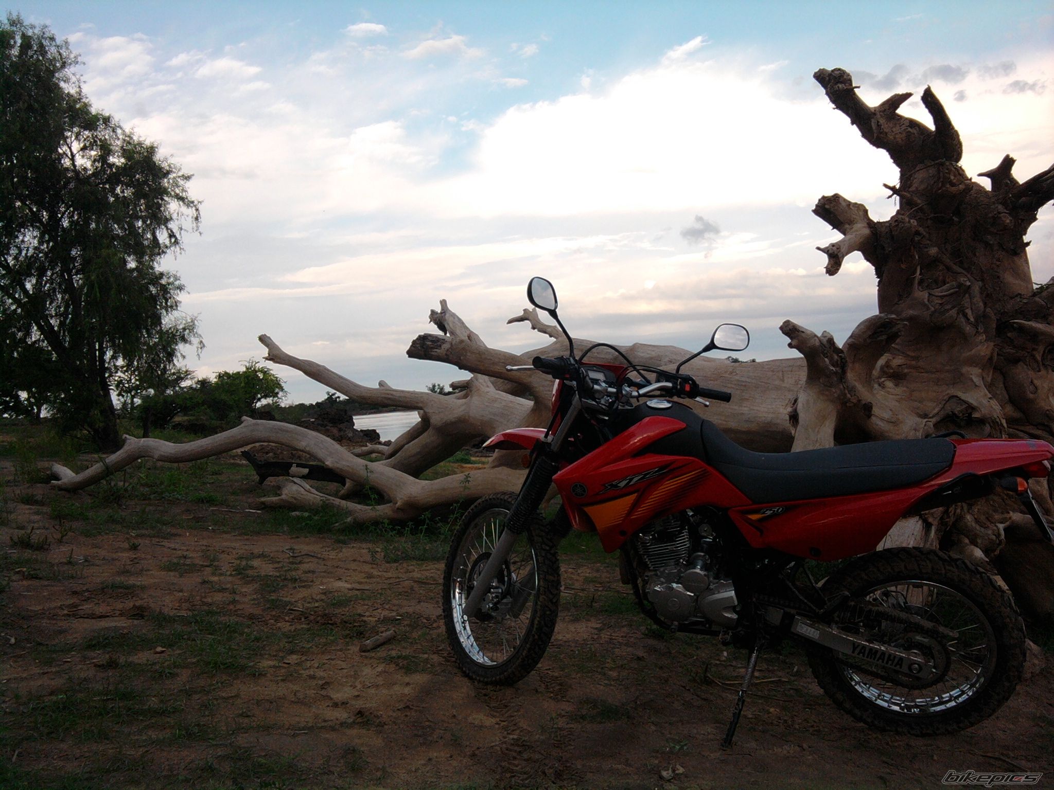 Photo 2114768