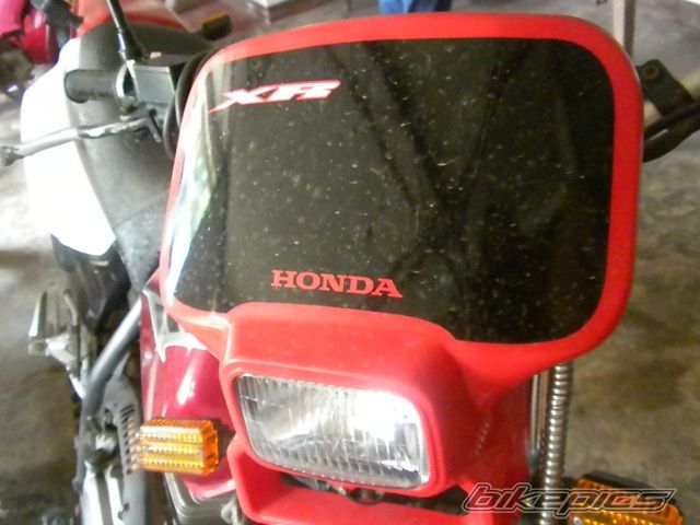 Photo 2115081