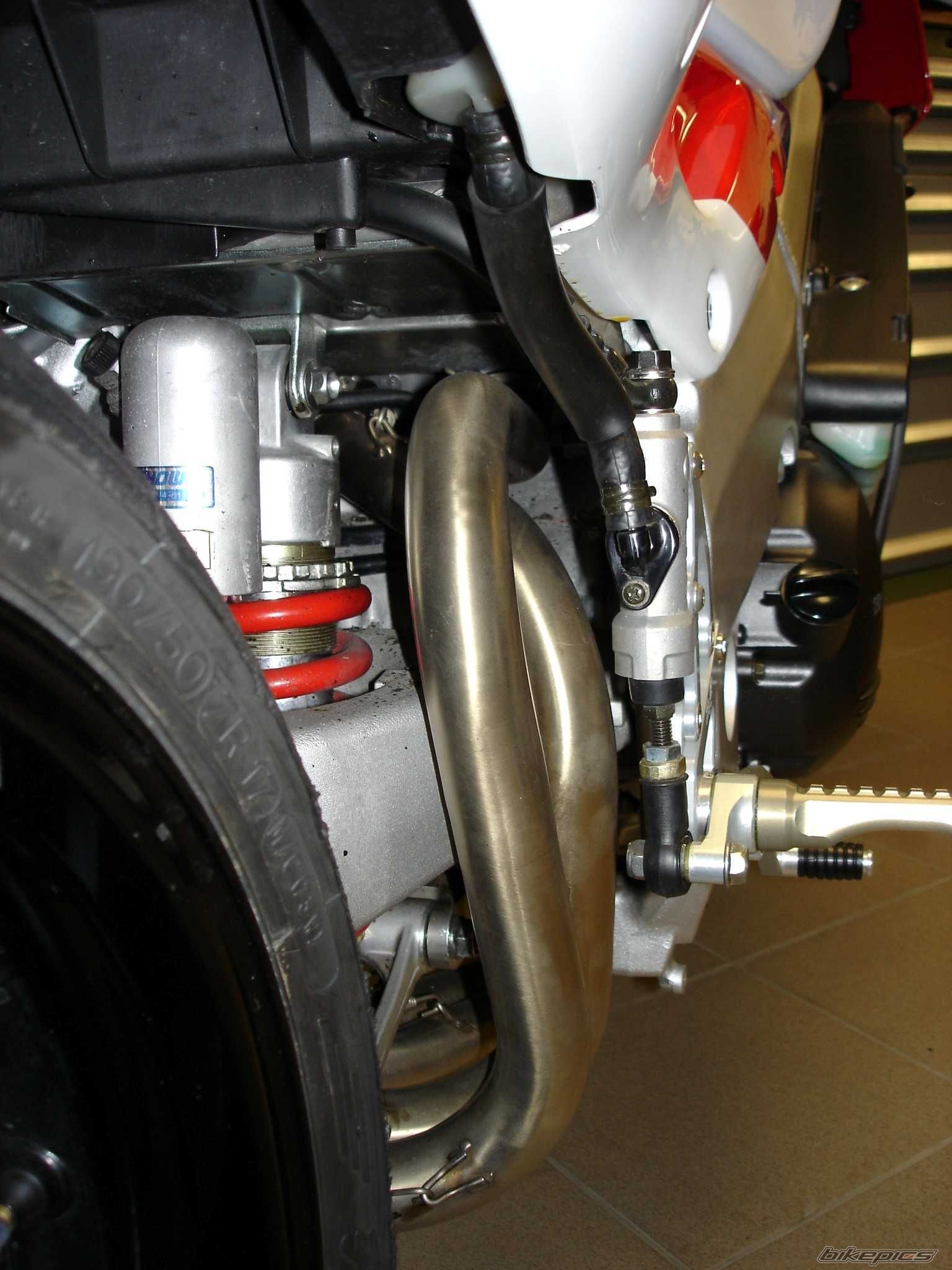 RVF