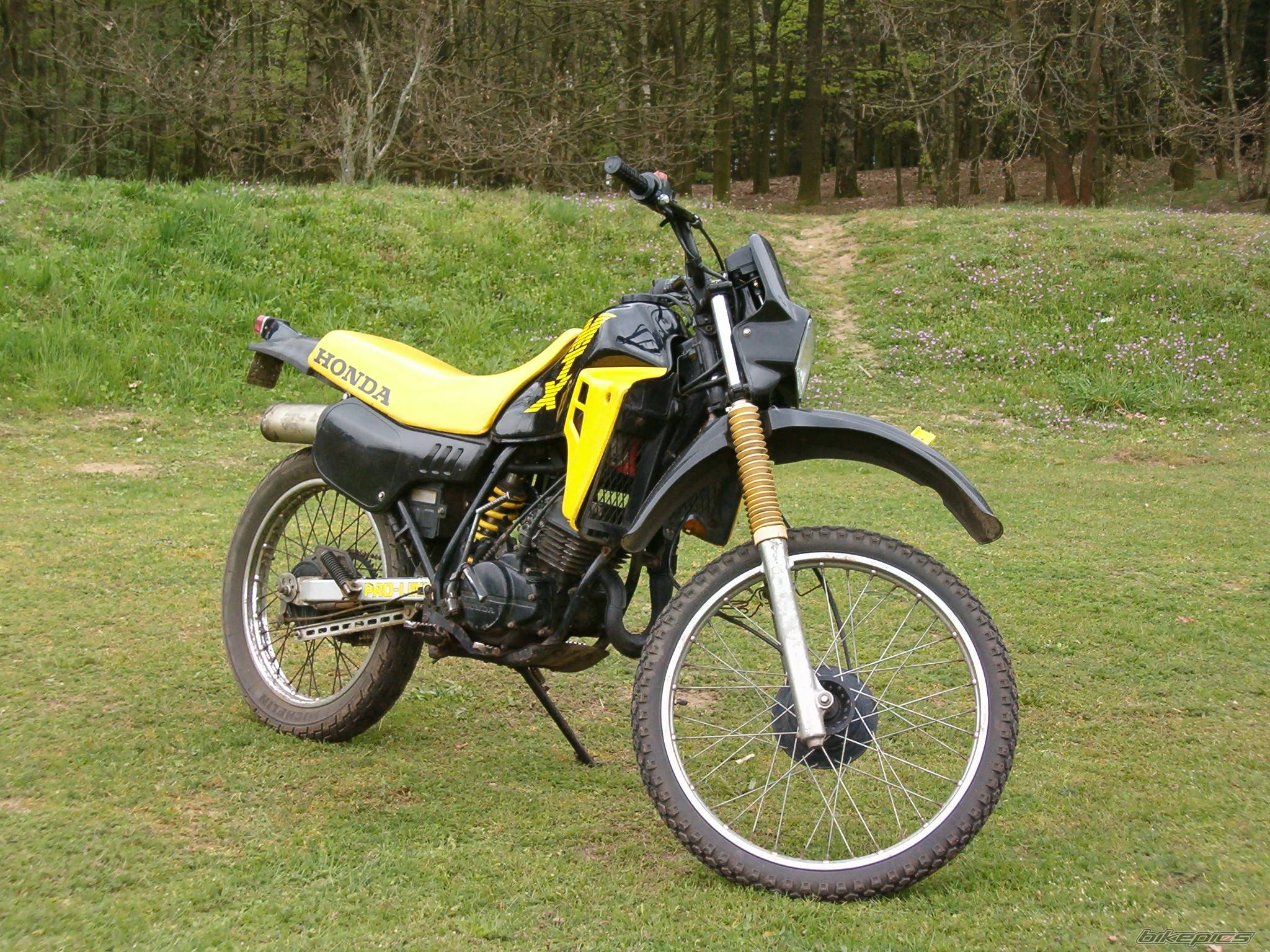 Photo 211535