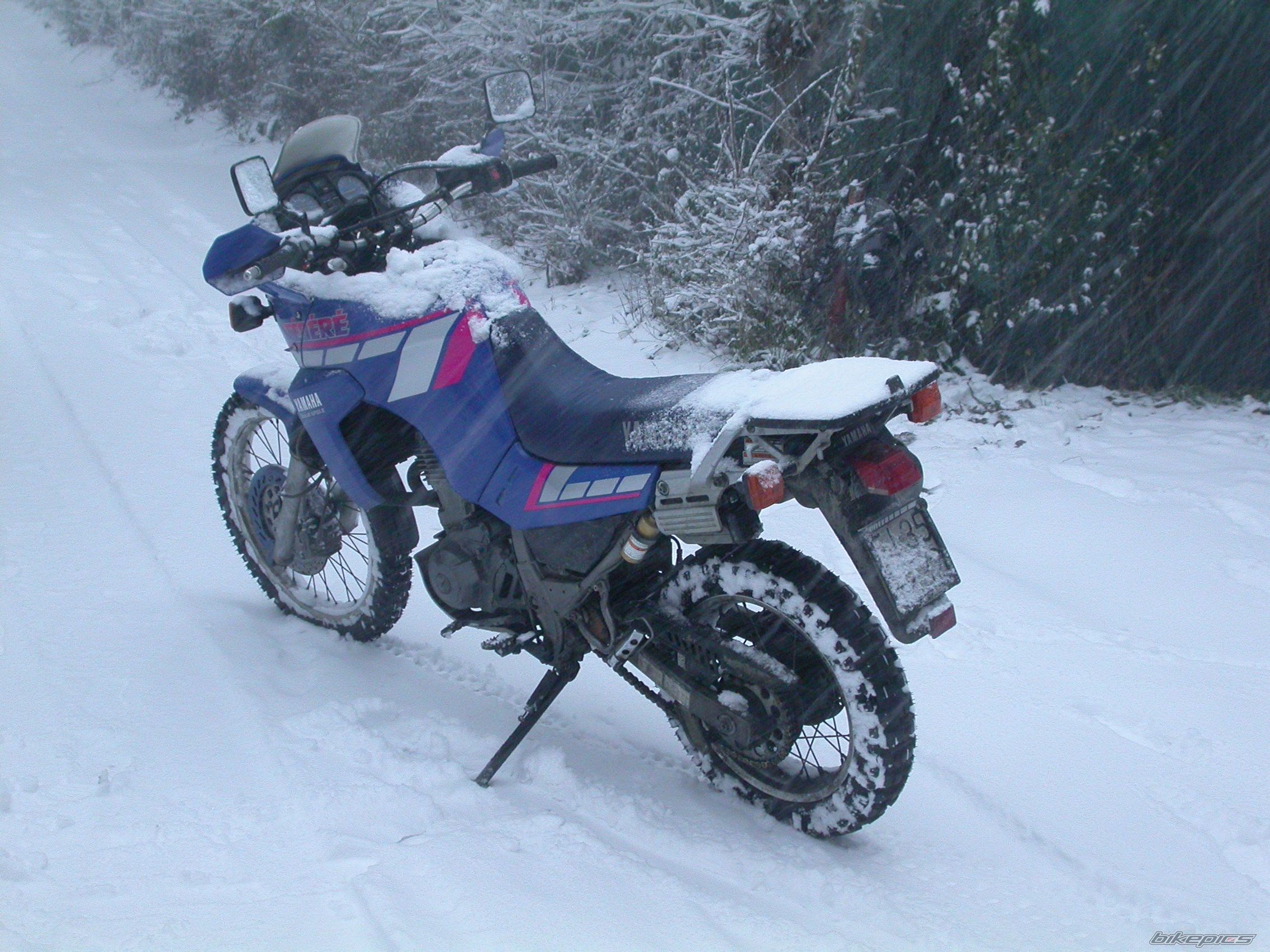 Photo 2115394