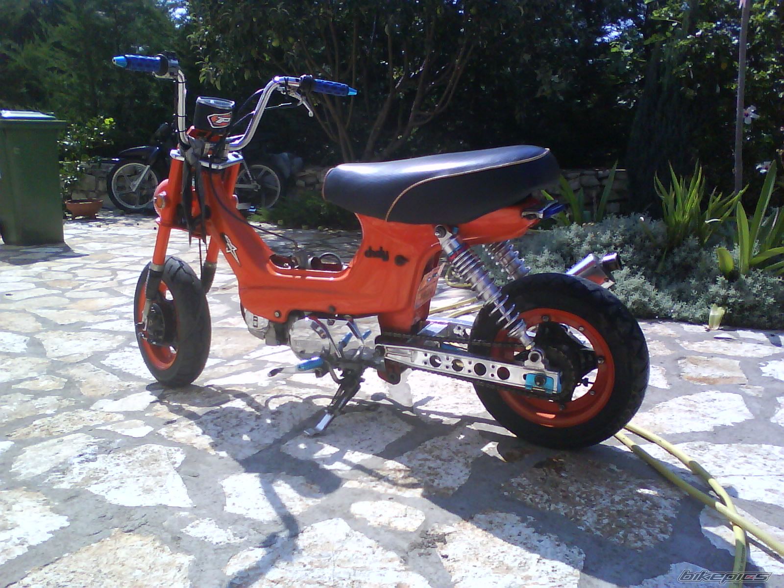 Photo 2115477