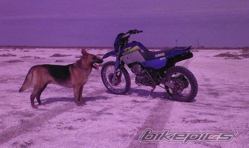 Photo 2115547