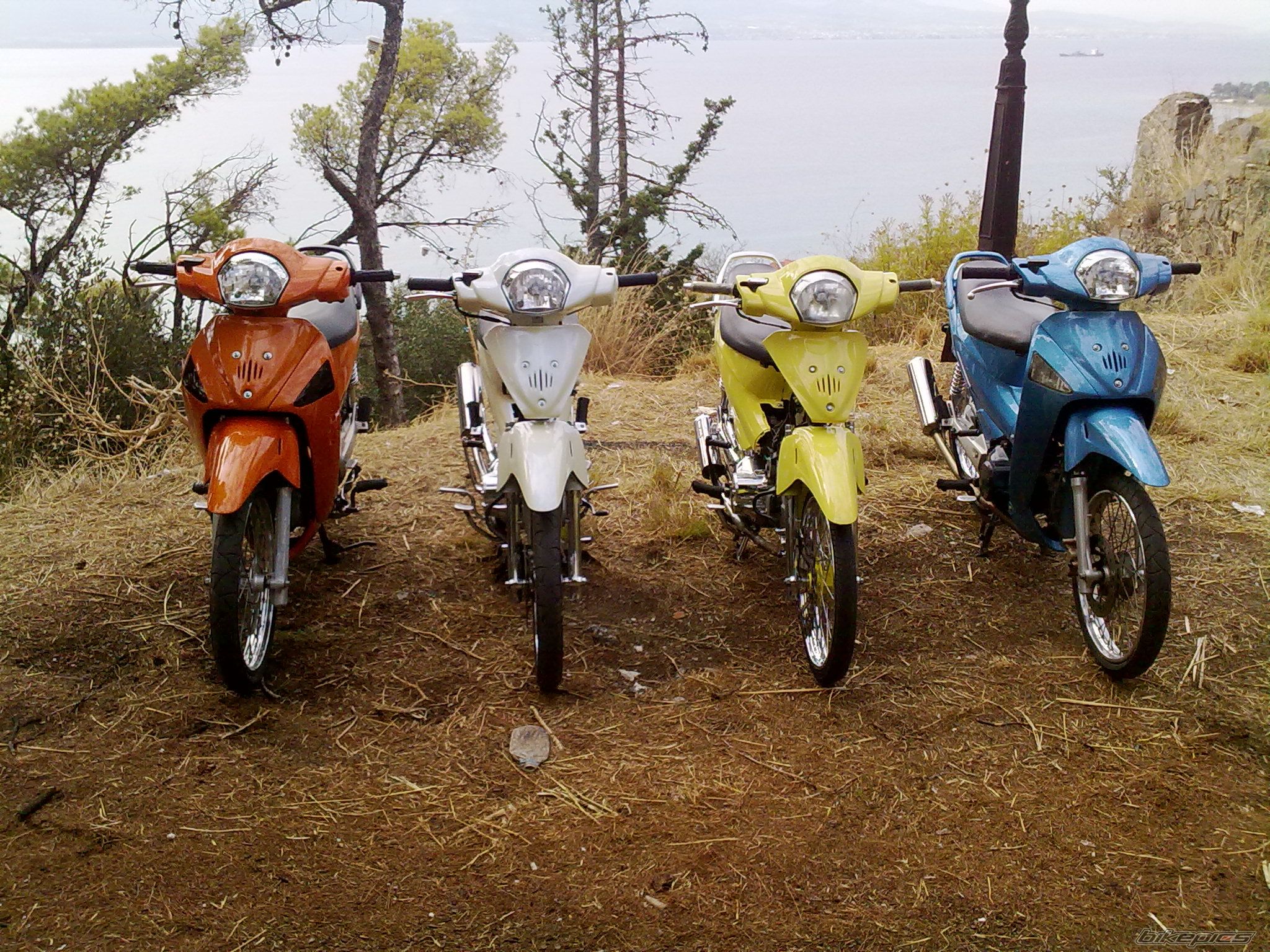 Photo 2115895