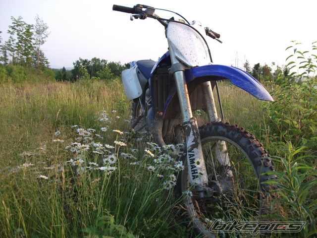 Bike Photo 2116101