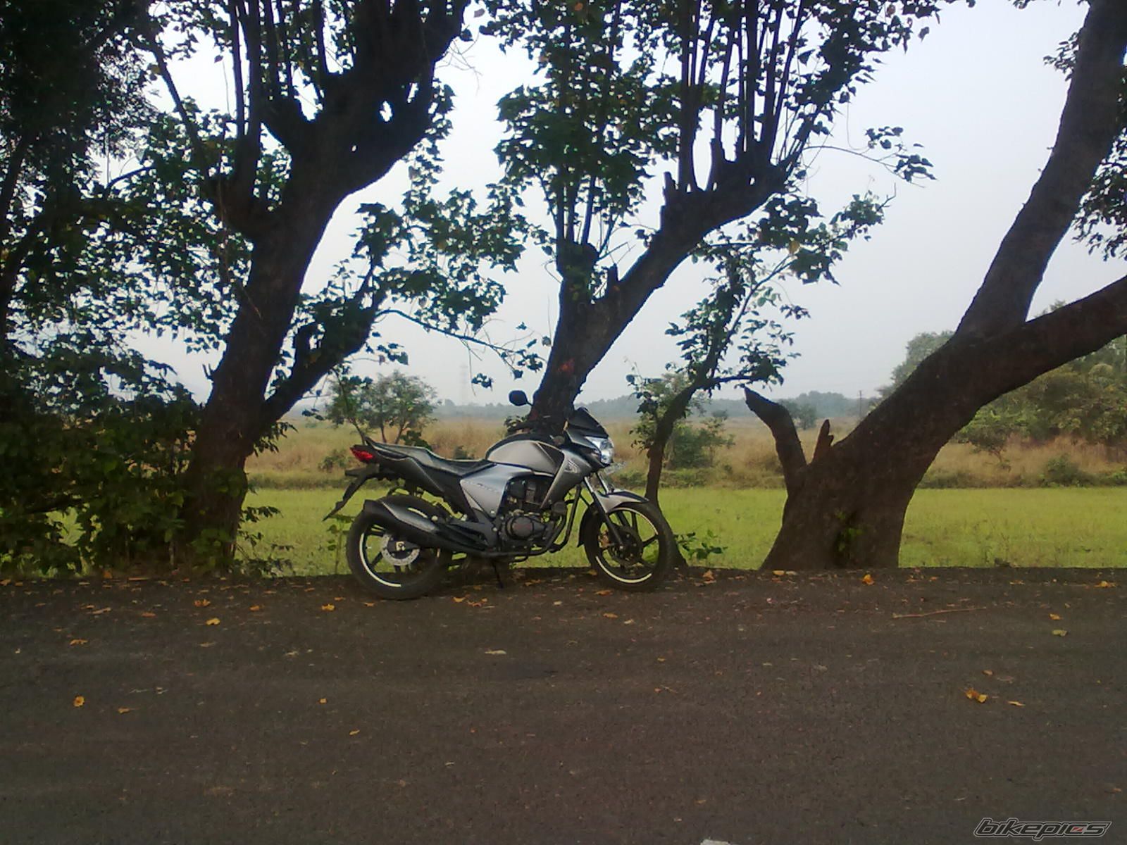 Photo 2116129