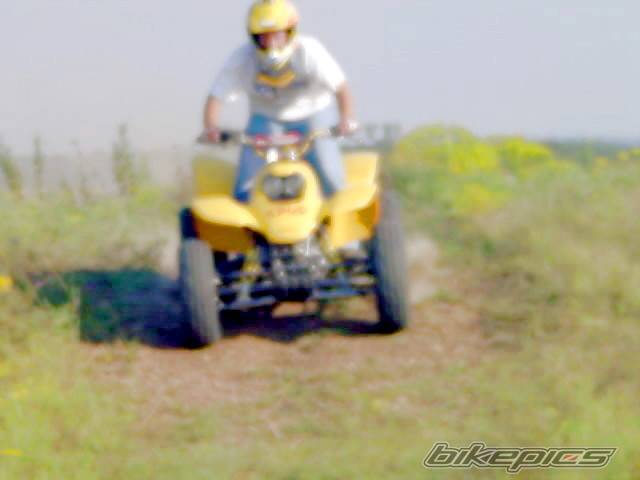 Photo 211632