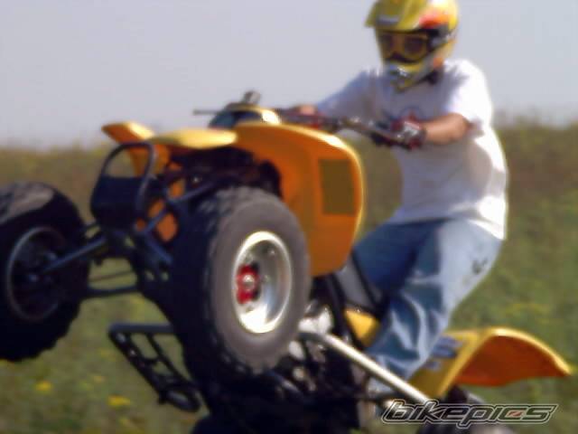 Photo 211648