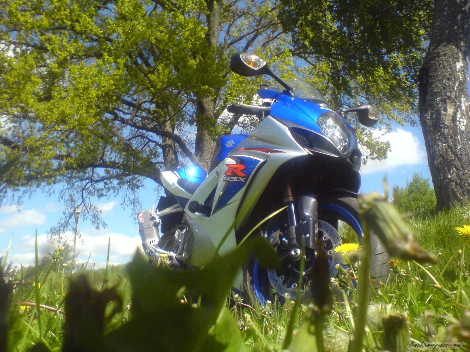 Photo 2116562