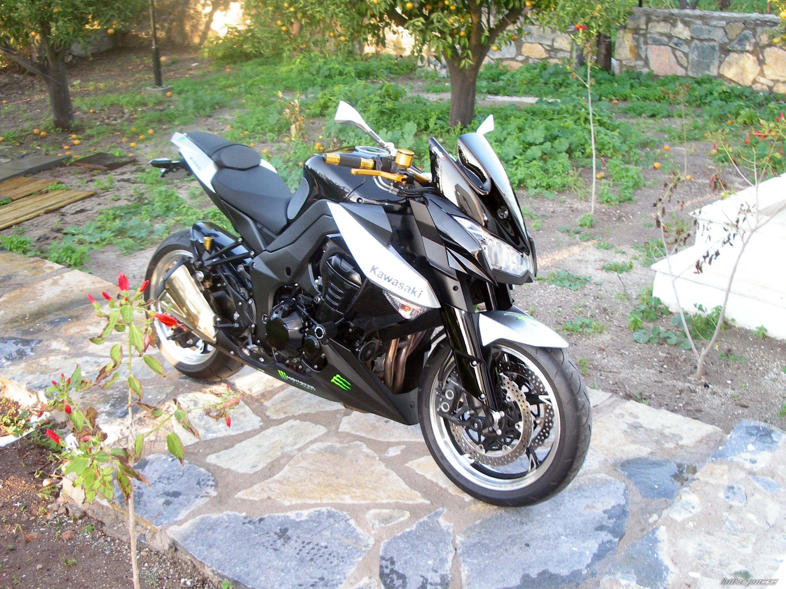 Photo 2116690