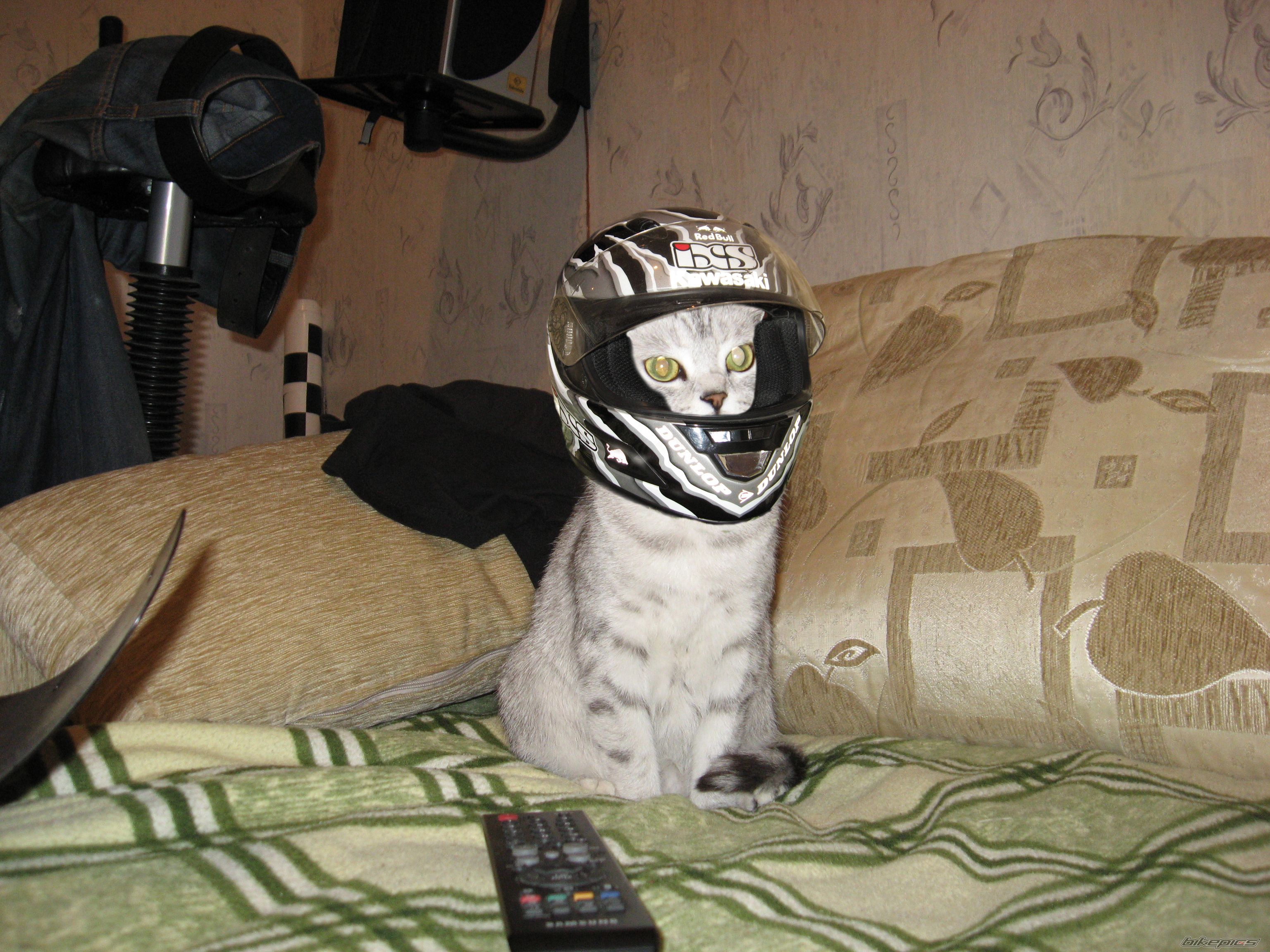 Photo 2116728